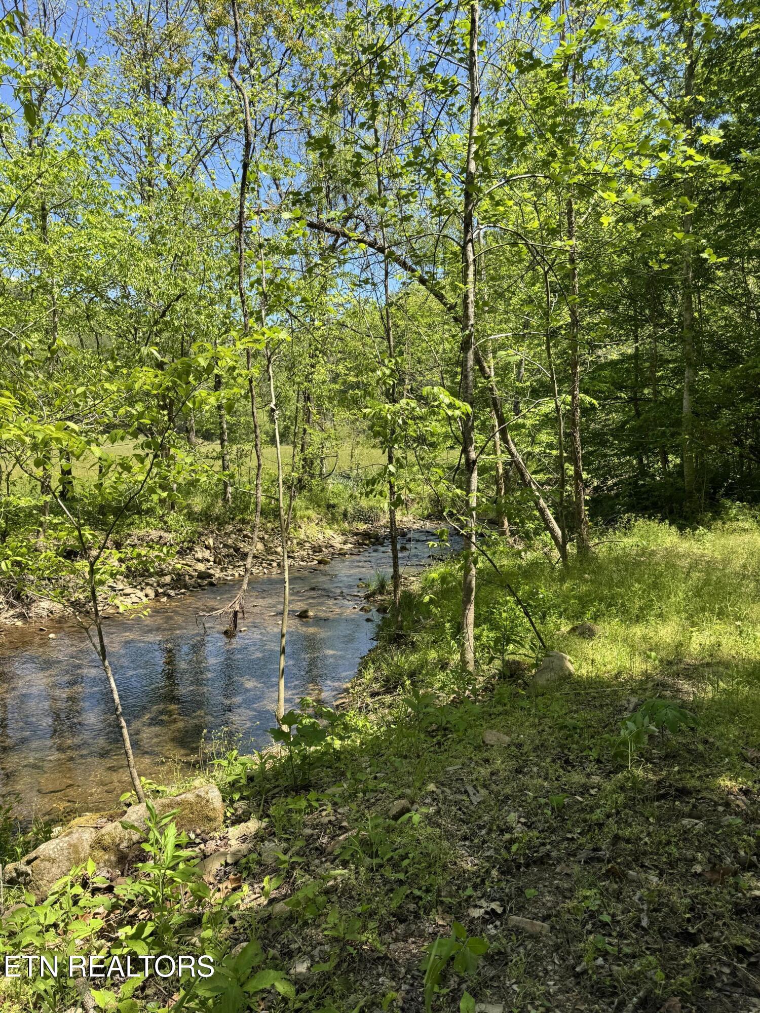 915 Chestnut Valley Road Vonore TN 37885