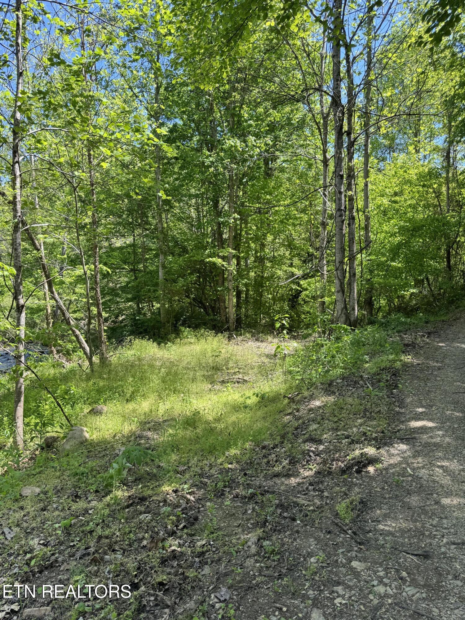 915 Chestnut Valley Road Vonore TN 37885