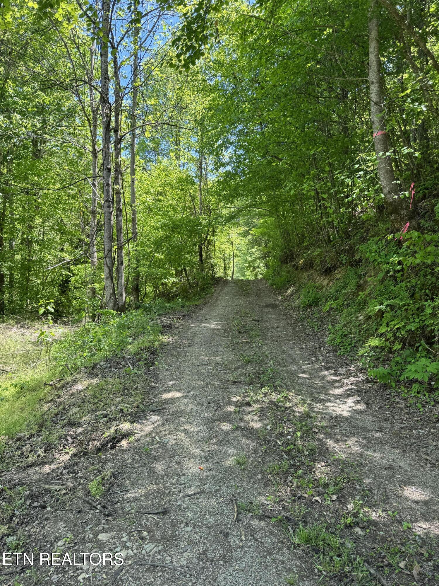 915 Chestnut Valley Road Vonore TN 37885