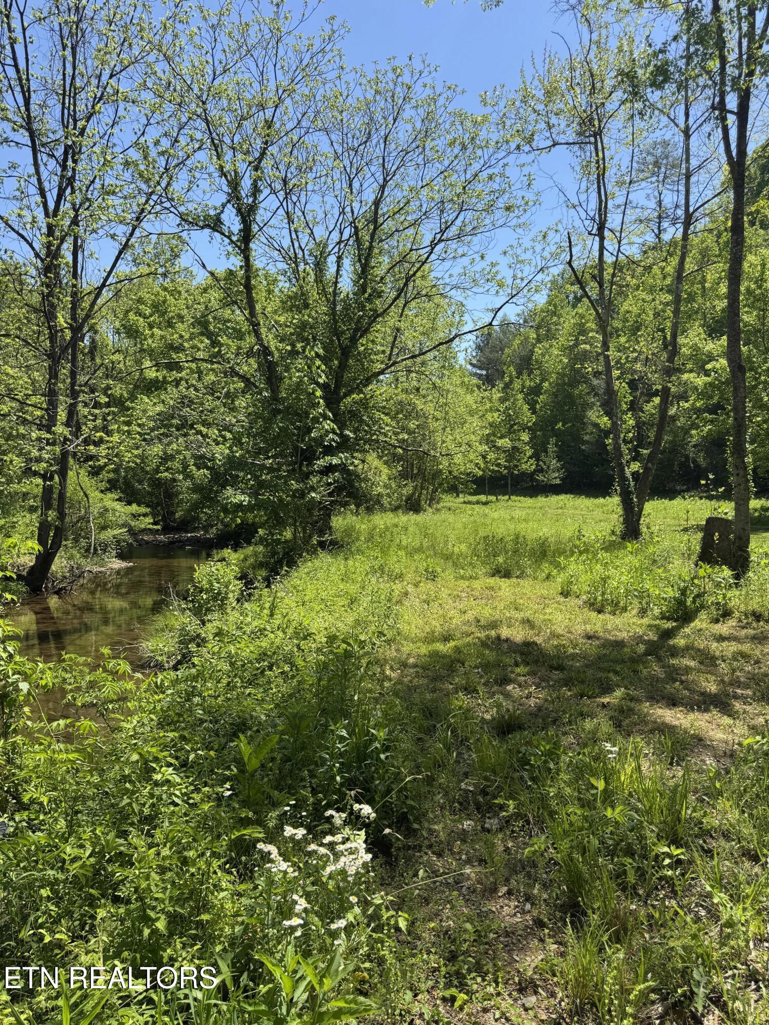 915 Chestnut Valley Road Vonore TN 37885