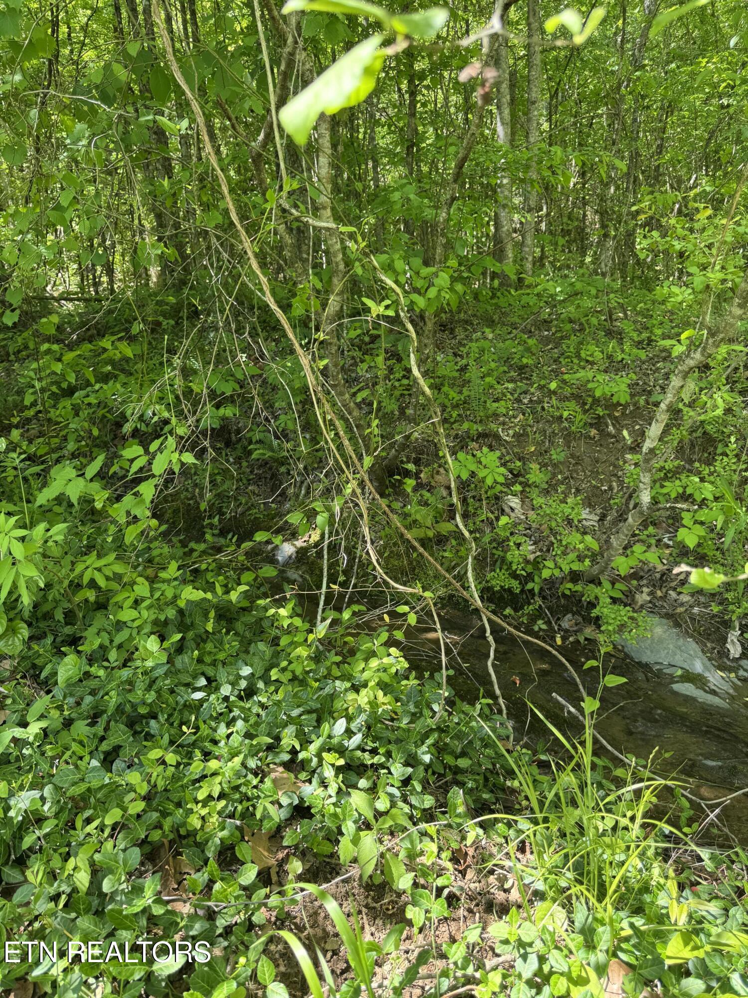 915 Chestnut Valley Road Vonore TN 37885