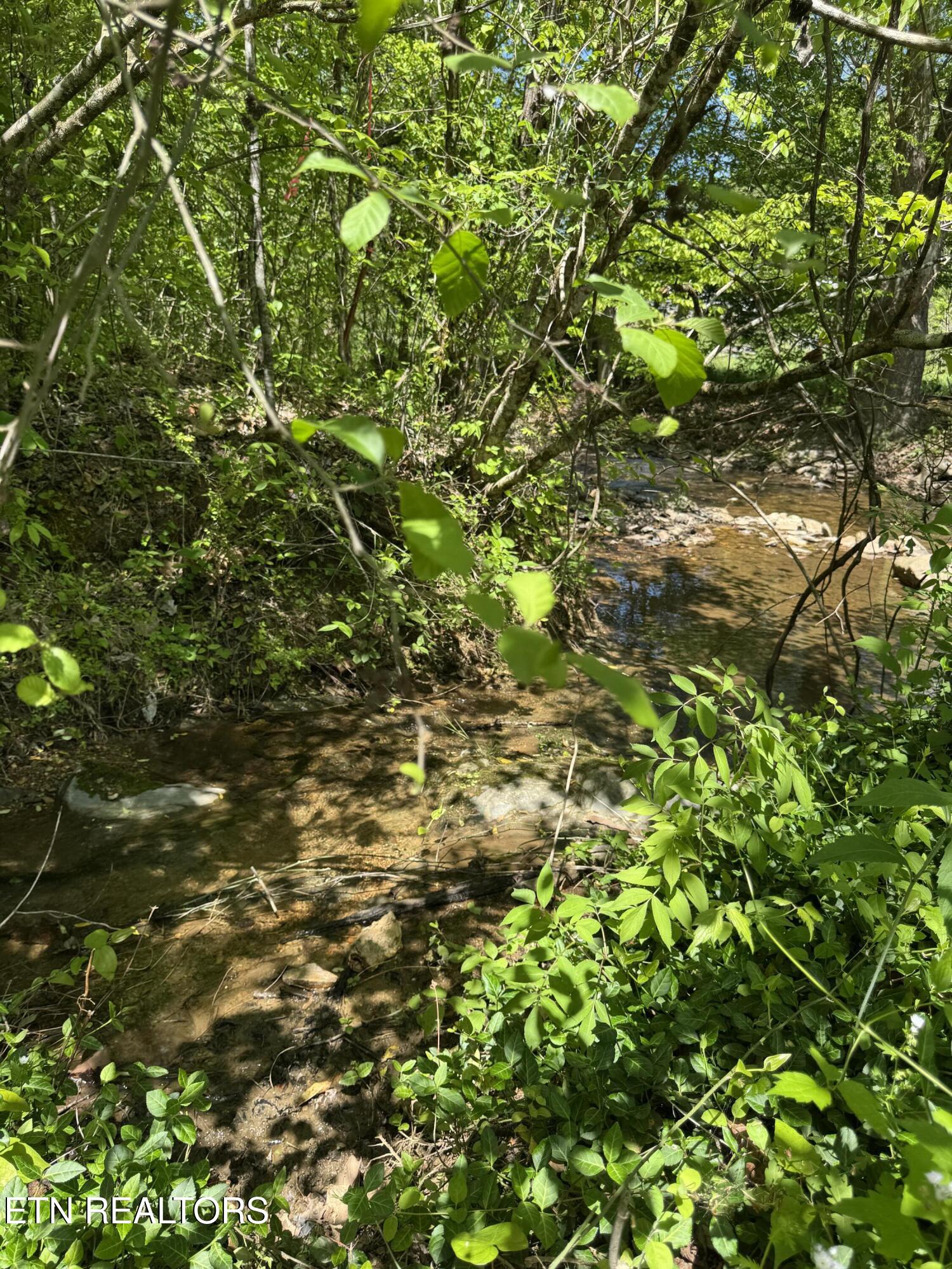 915 Chestnut Valley Road Vonore TN 37885