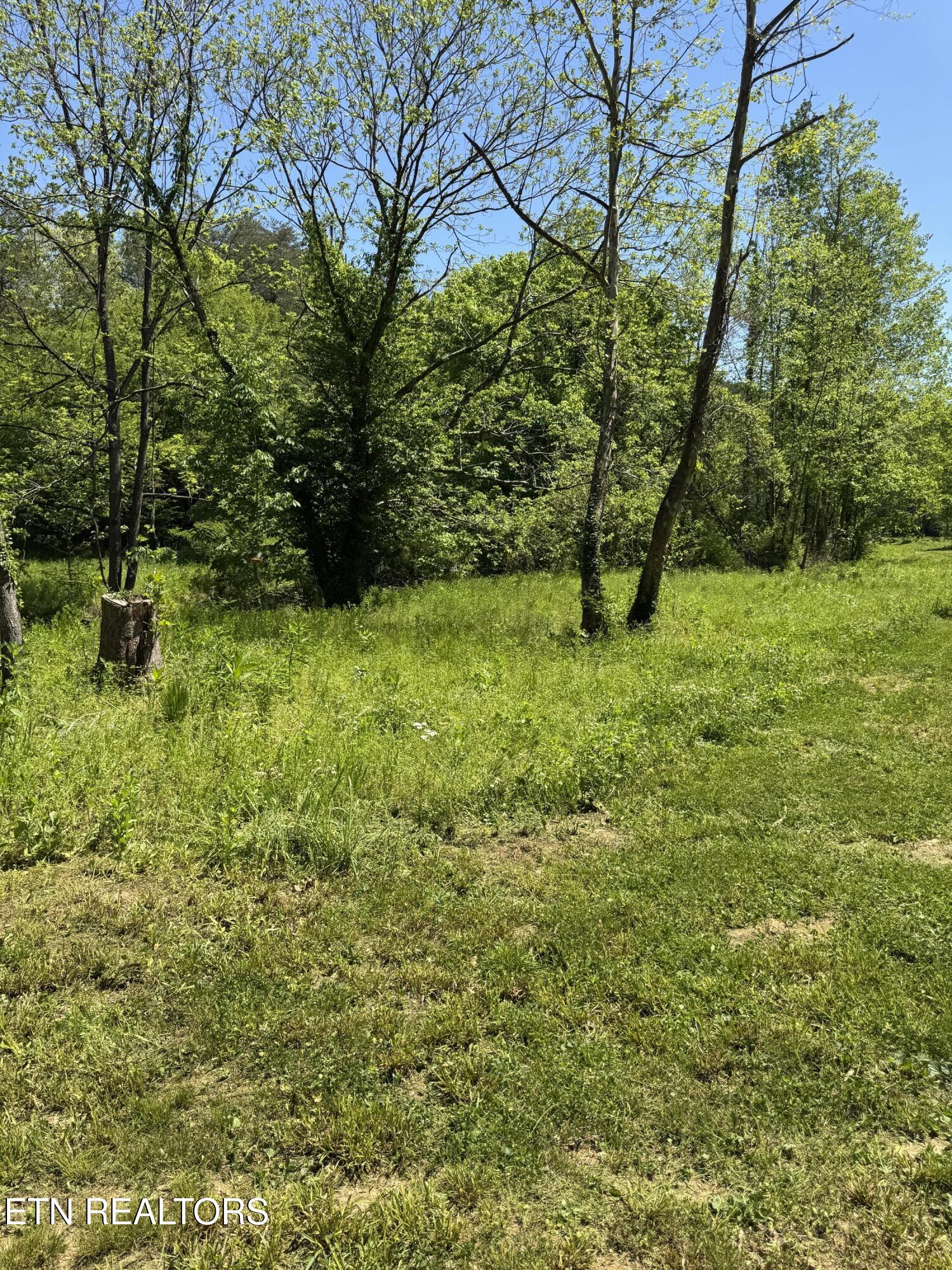 915 Chestnut Valley Road Vonore TN 37885