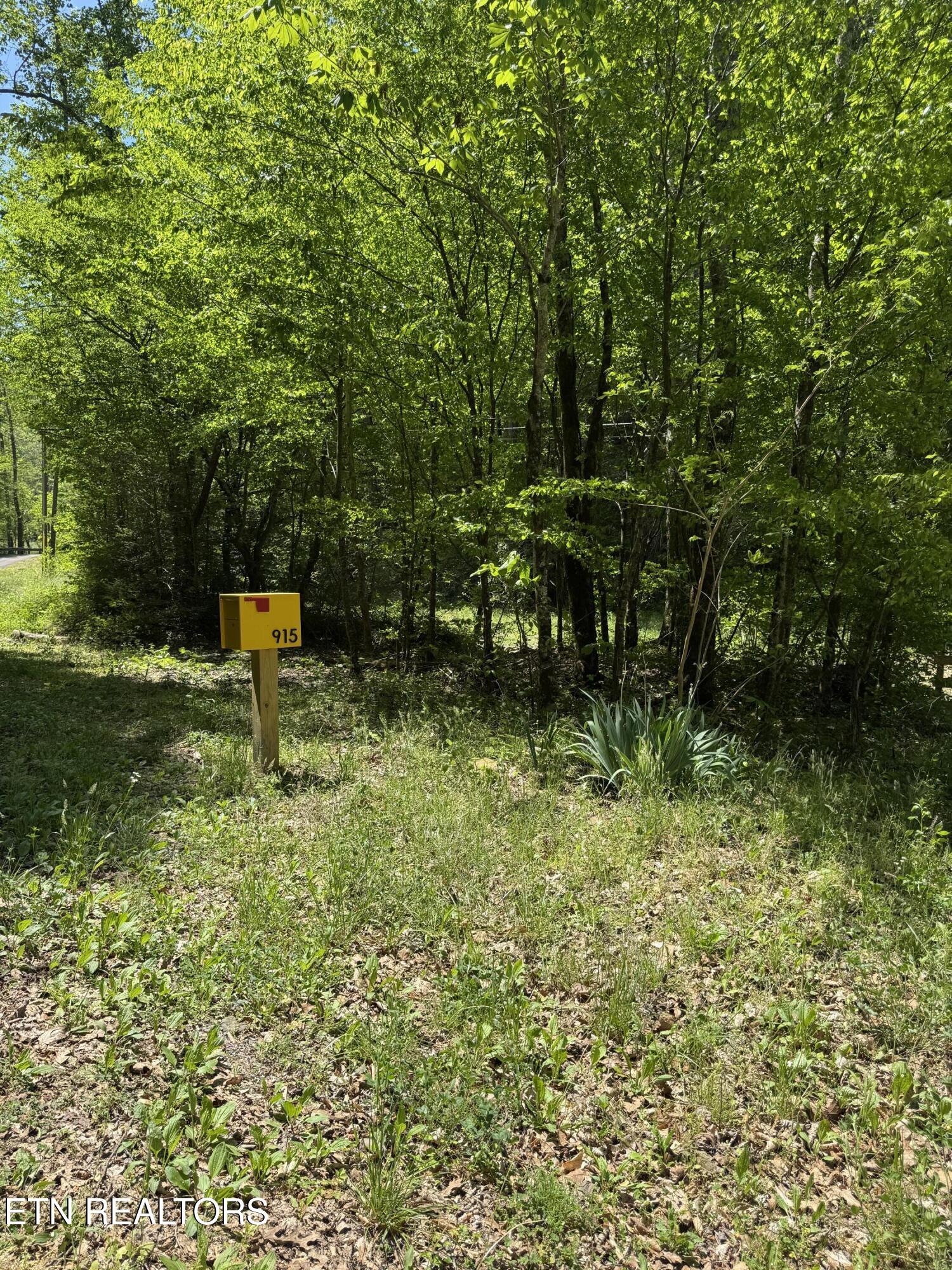 915 Chestnut Valley Road Vonore TN 37885