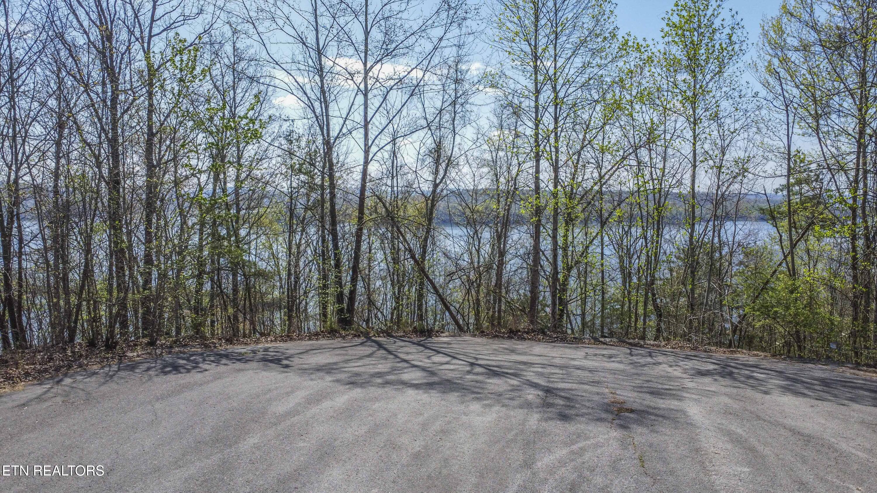 106 Eerie Point Rockwood TN 37854