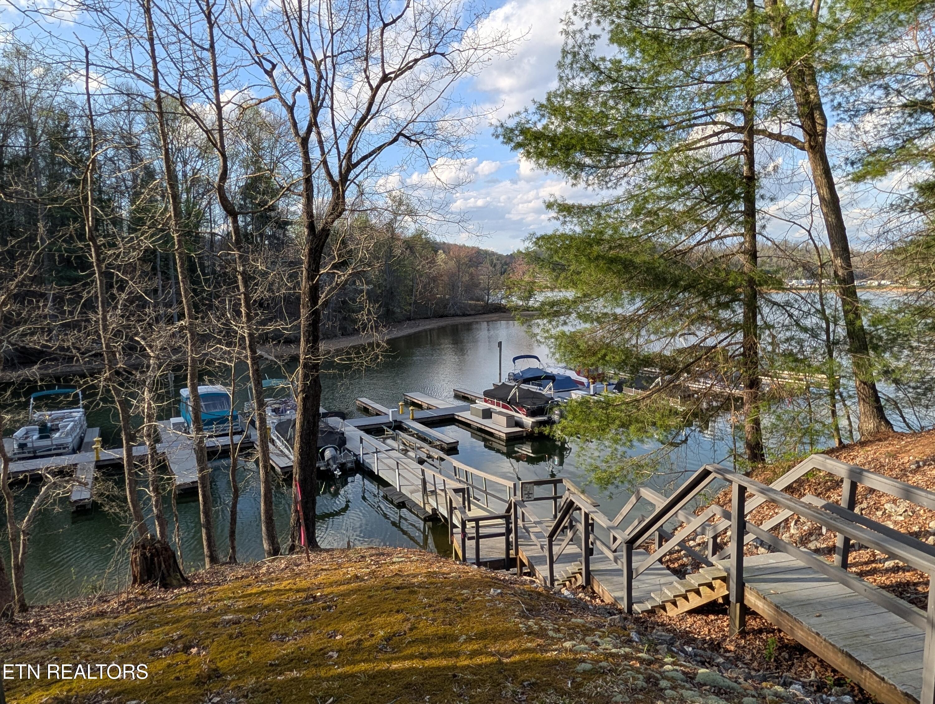 106 Eerie Point Rockwood TN 37854
