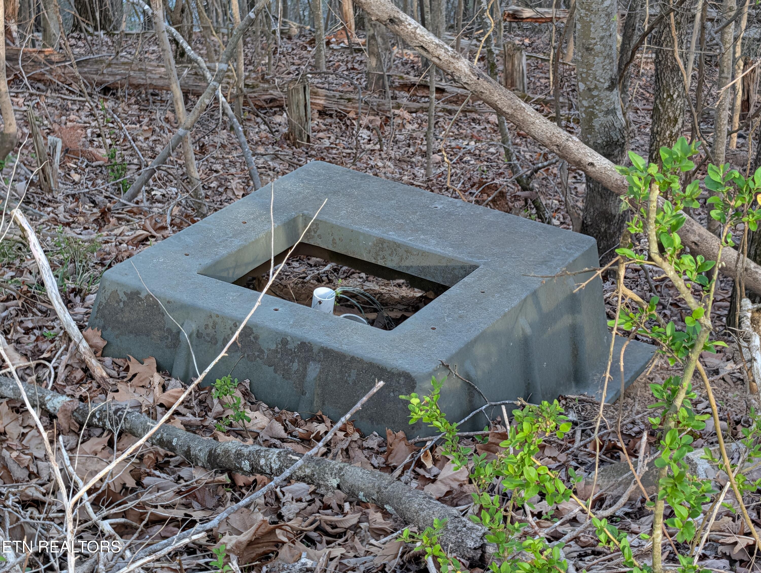 106 Eerie Point Rockwood TN 37854