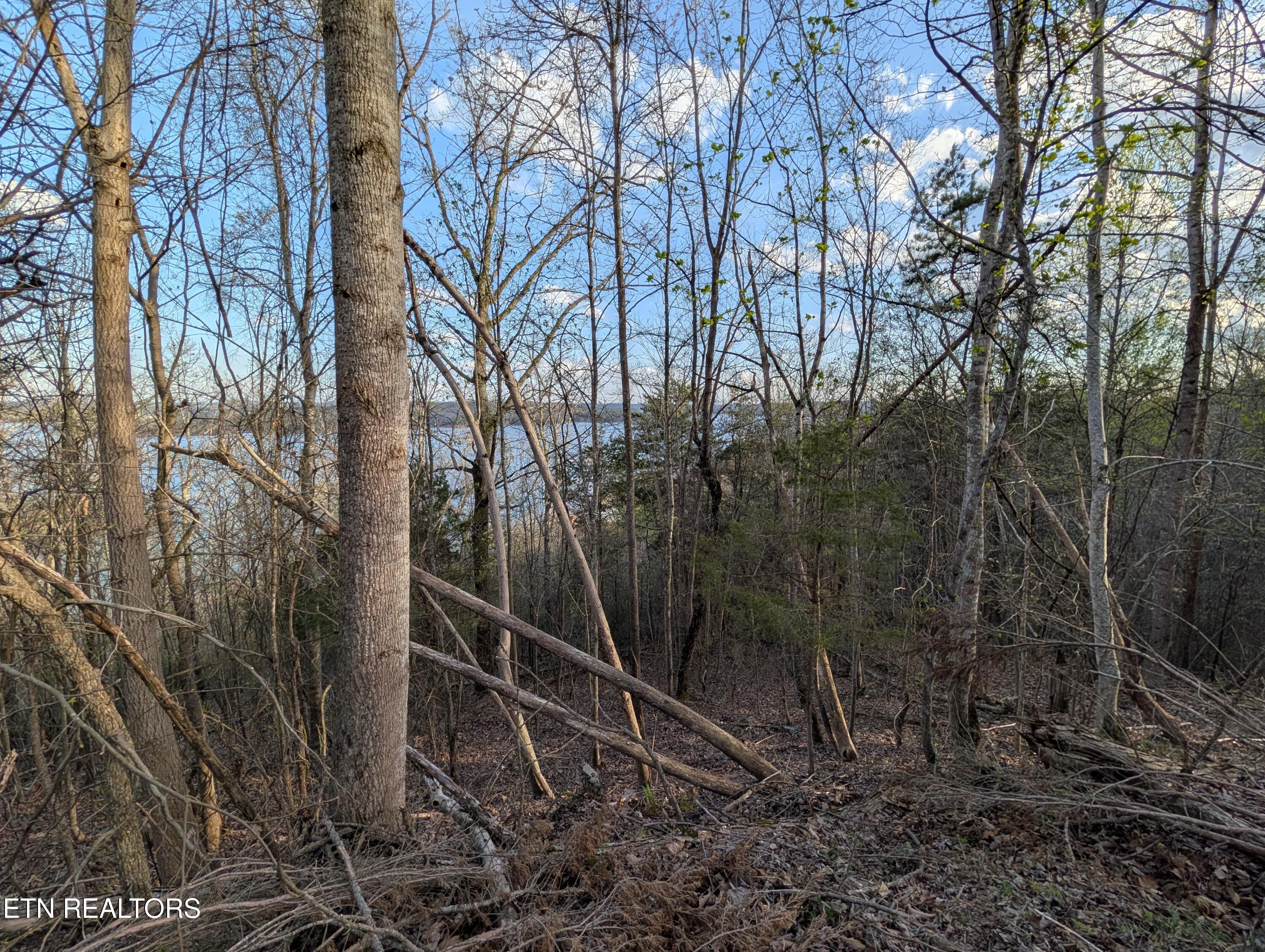 106 Eerie Point Rockwood TN 37854