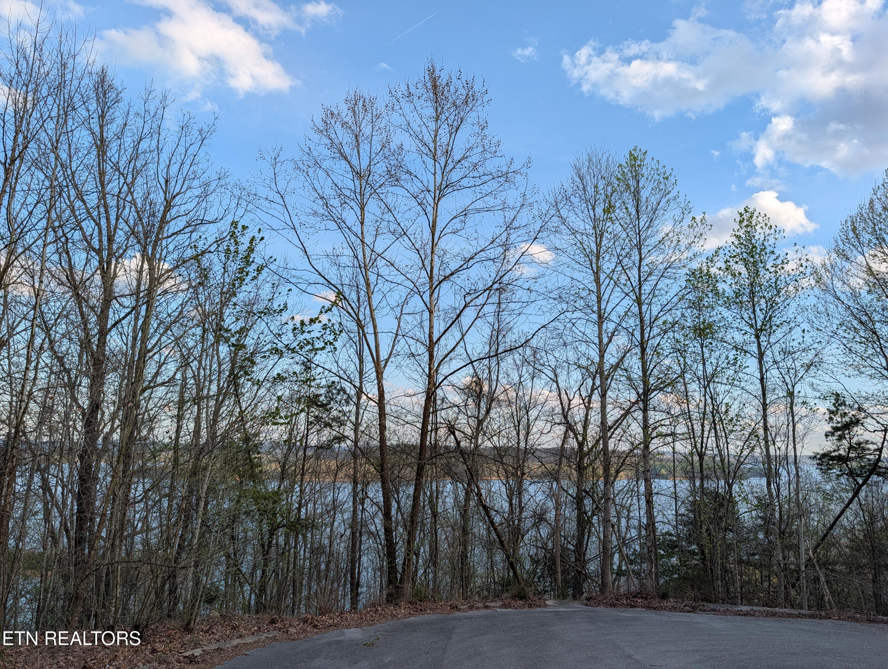 106 Eerie Point Rockwood TN 37854