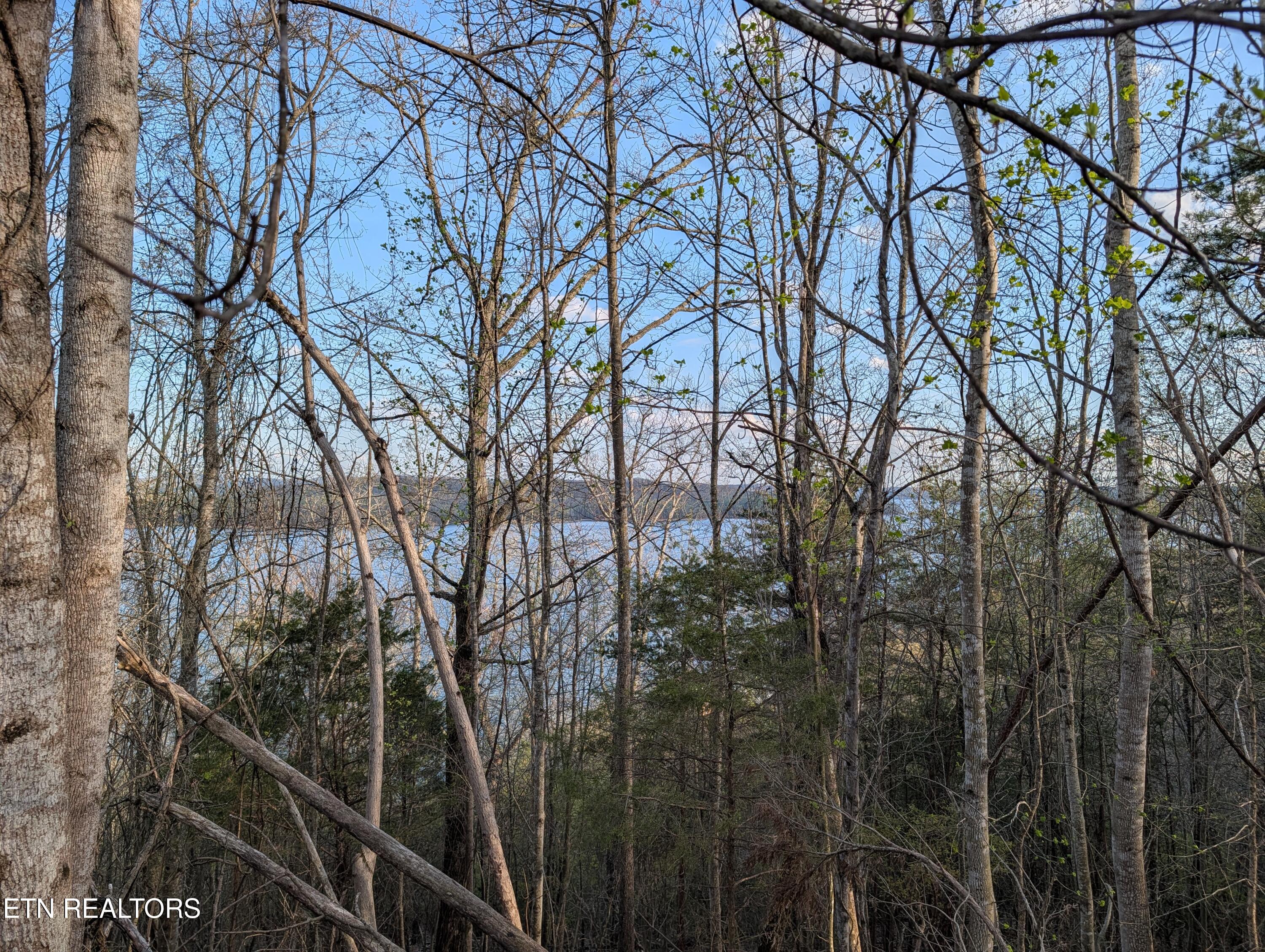 106 Eerie Point Rockwood TN 37854