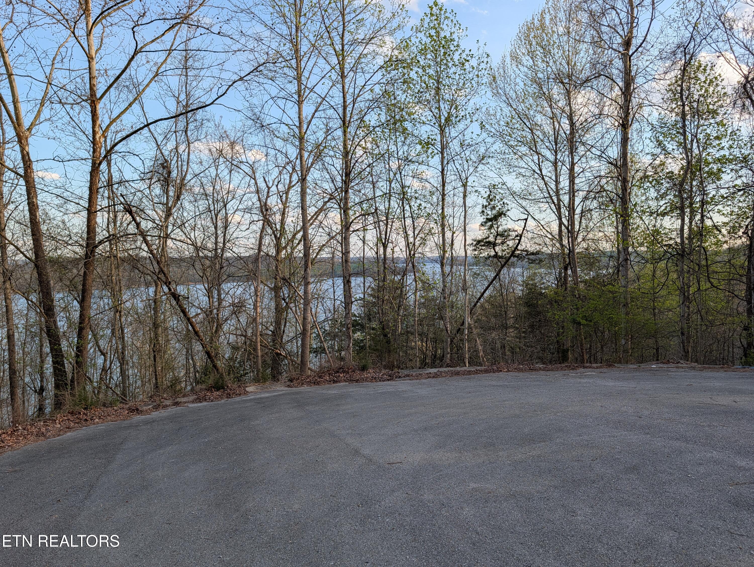 106 Eerie Point Rockwood TN 37854