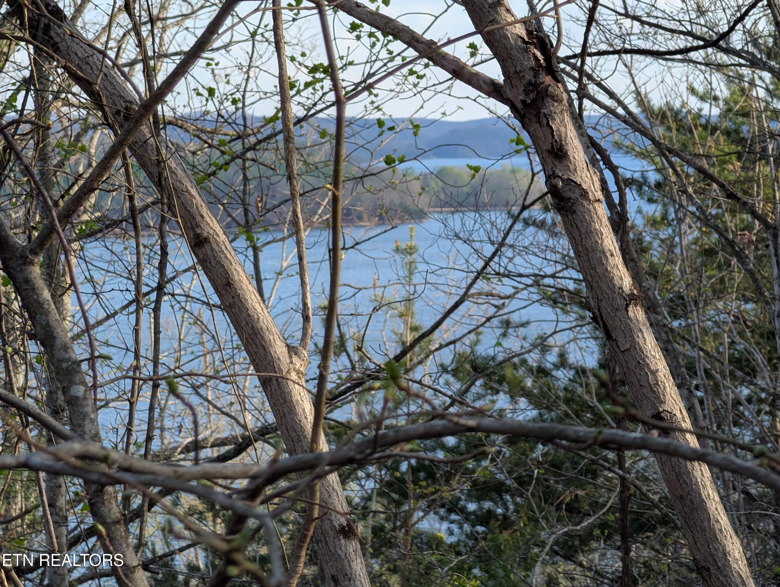 106 Eerie Point Rockwood TN 37854