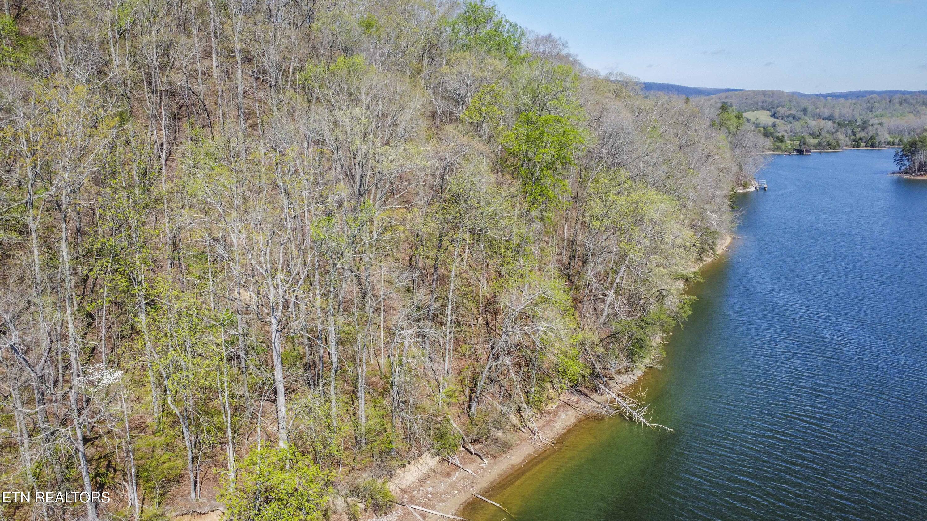 106 Eerie Point Rockwood TN 37854