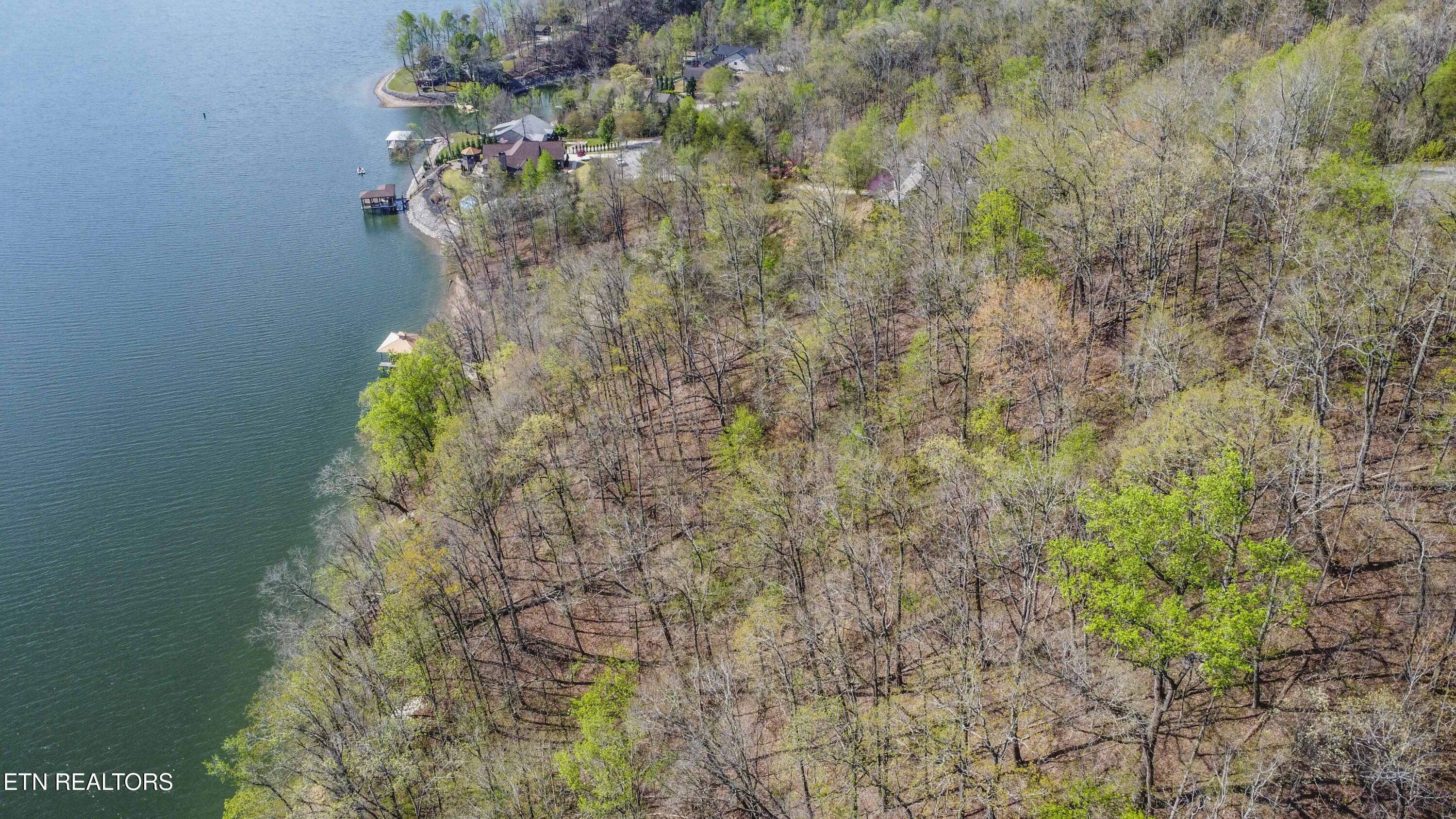 106 Eerie Point Rockwood TN 37854