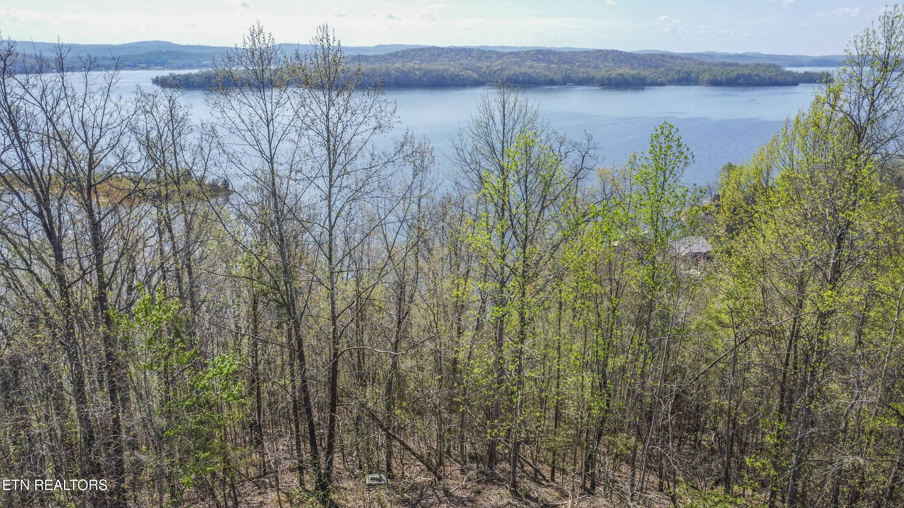 106 Eerie Point Rockwood TN 37854