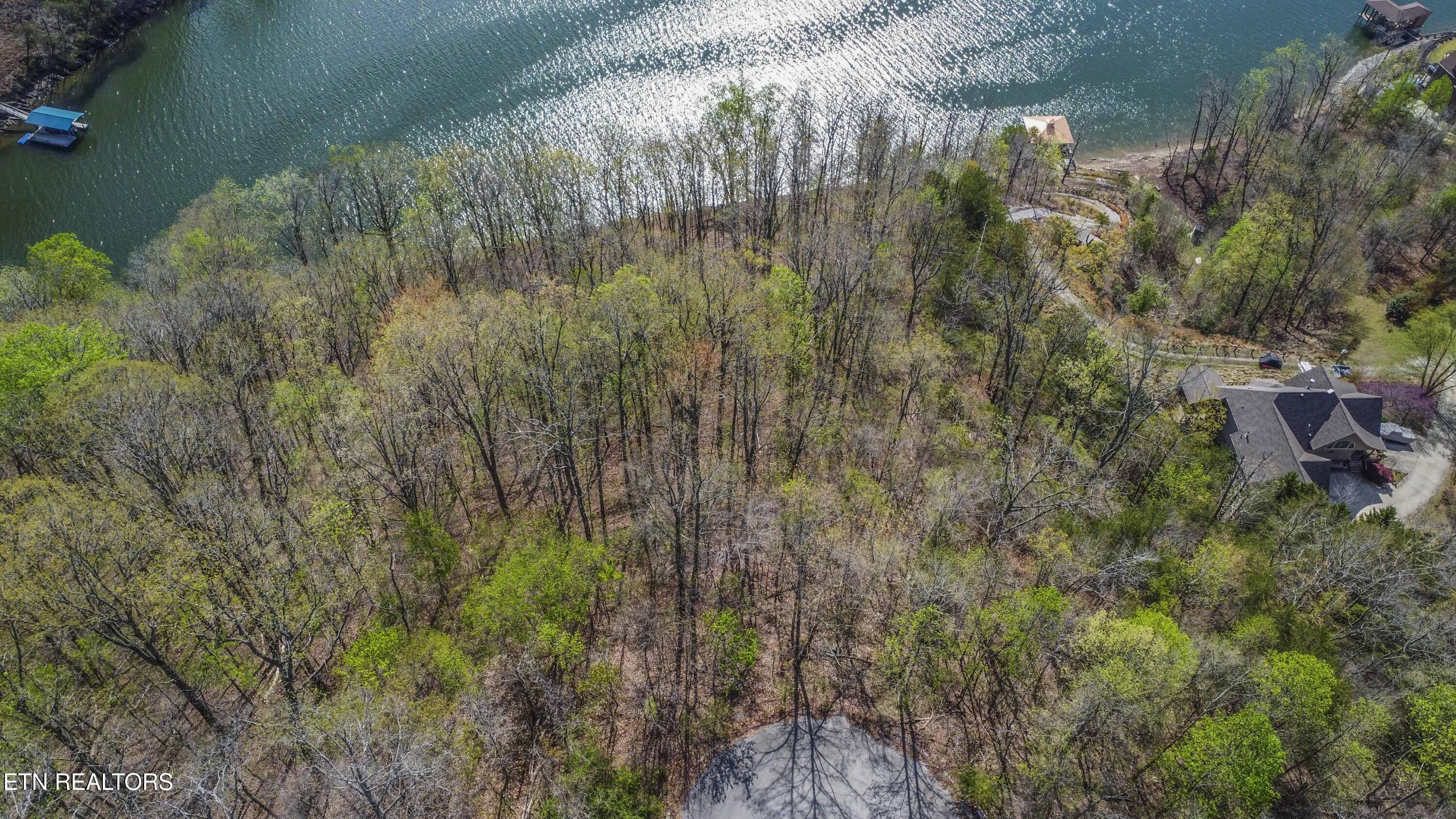 106 Eerie Point Rockwood TN 37854