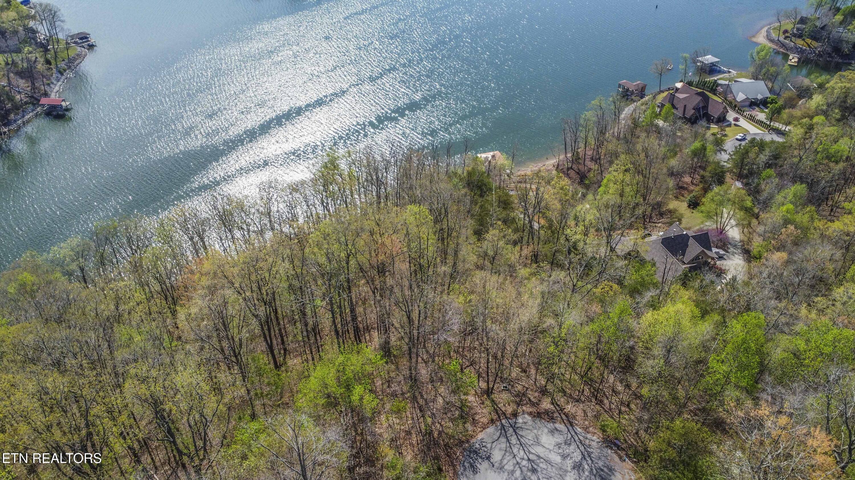 106 Eerie Point Rockwood TN 37854