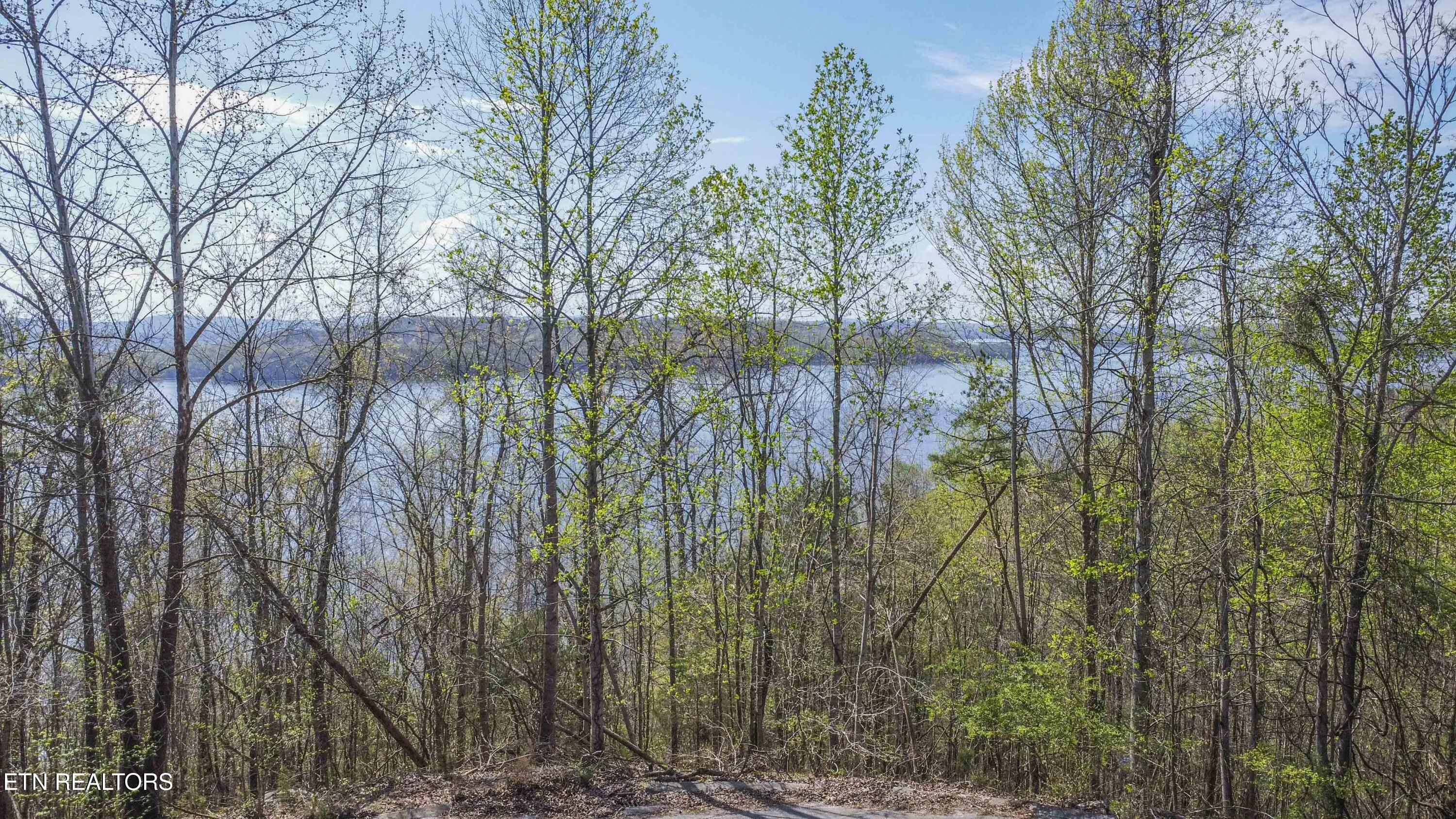 106 Eerie Point Rockwood TN 37854