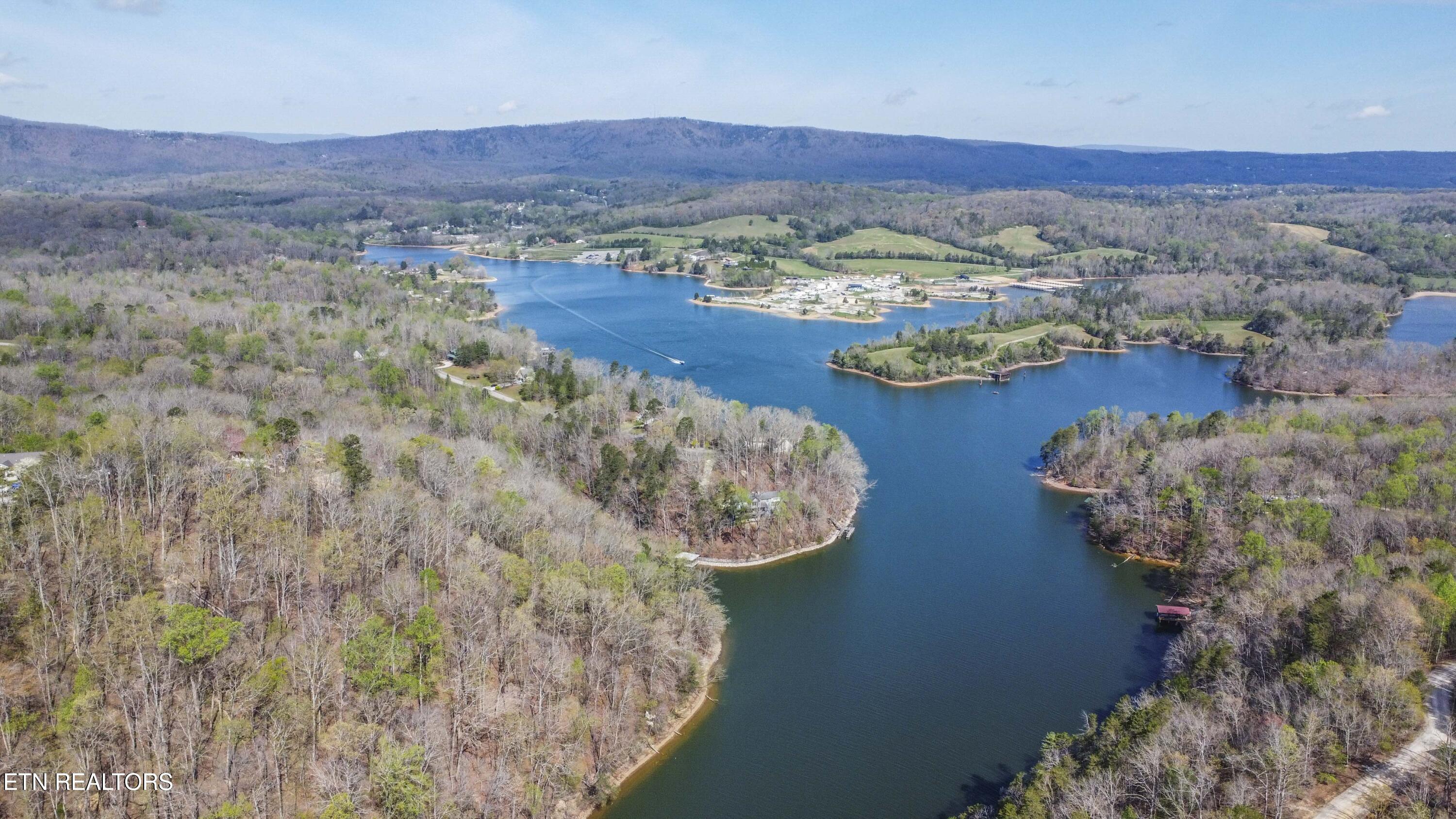 106 Eerie Point Rockwood TN 37854