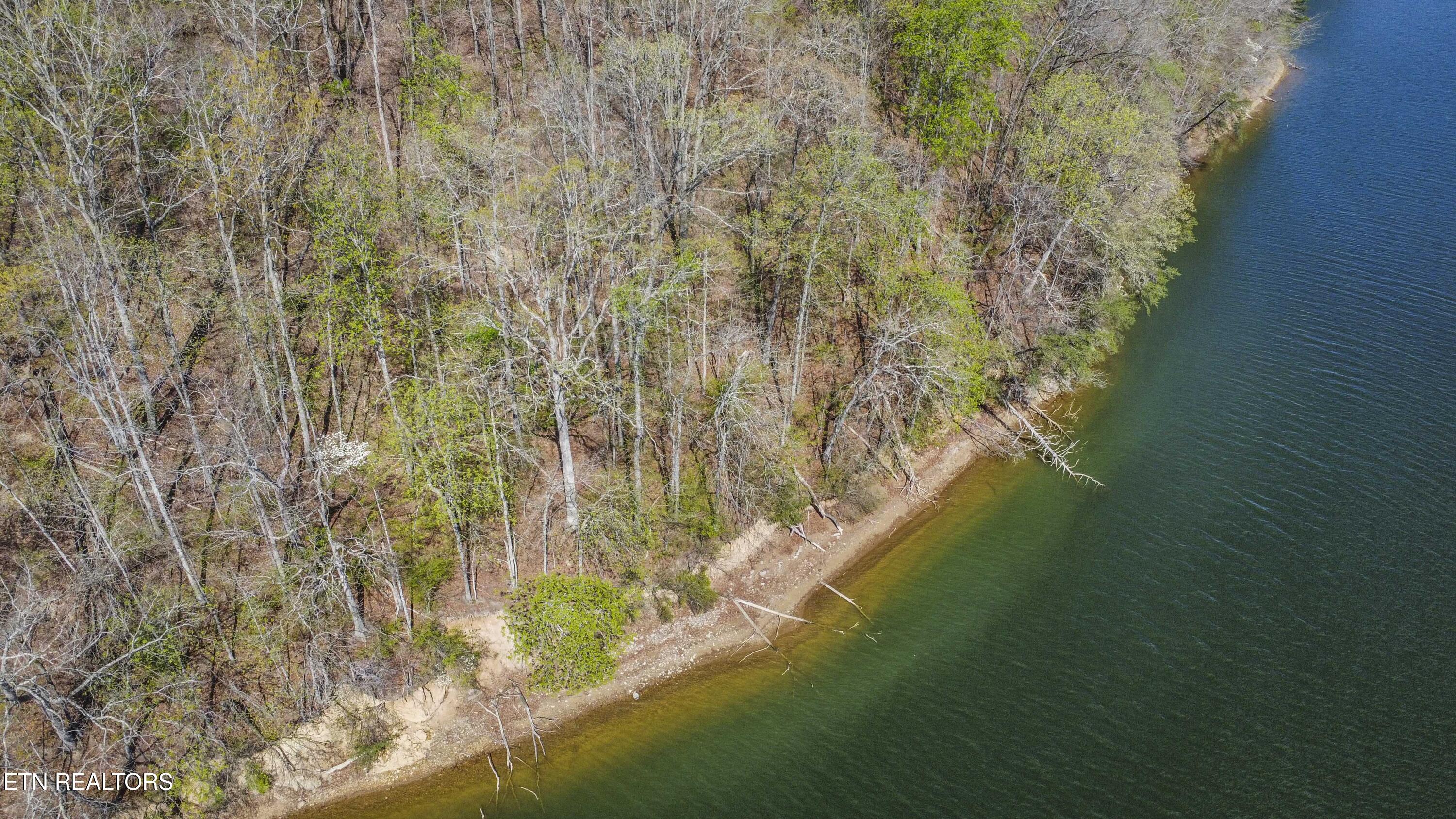 106 Eerie Point Rockwood TN 37854