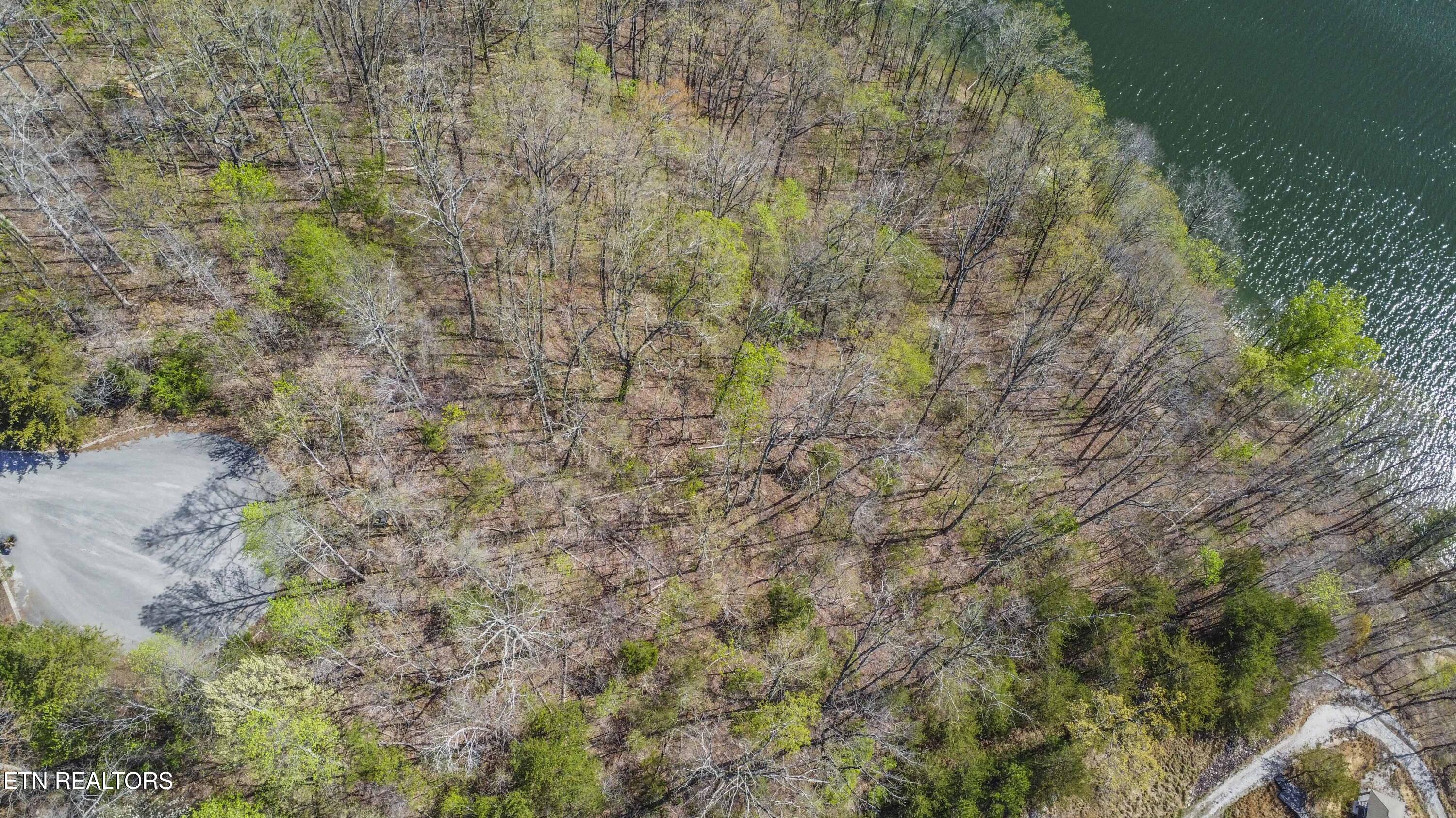 106 Eerie Point Rockwood TN 37854