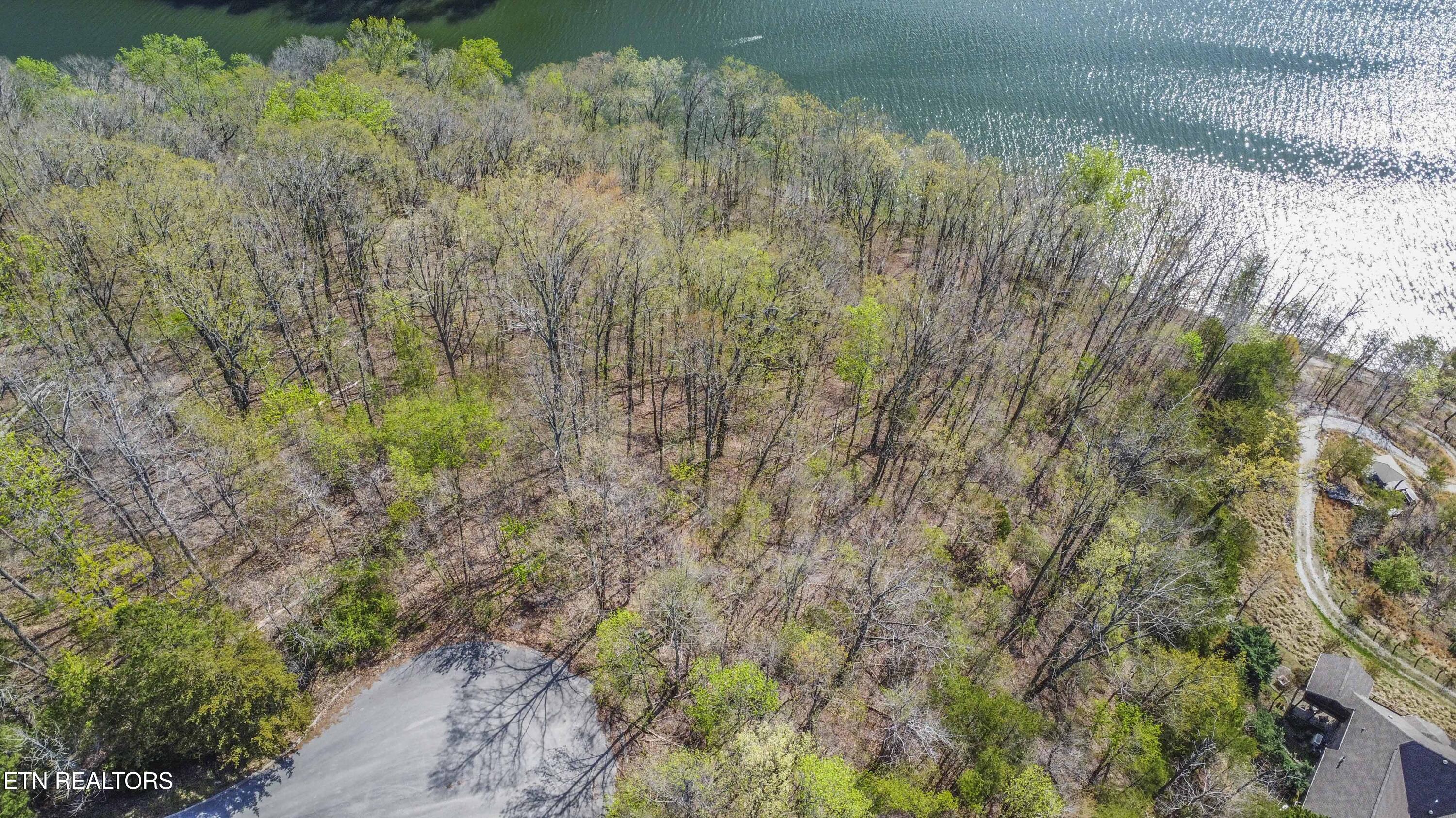 106 Eerie Point Rockwood TN 37854