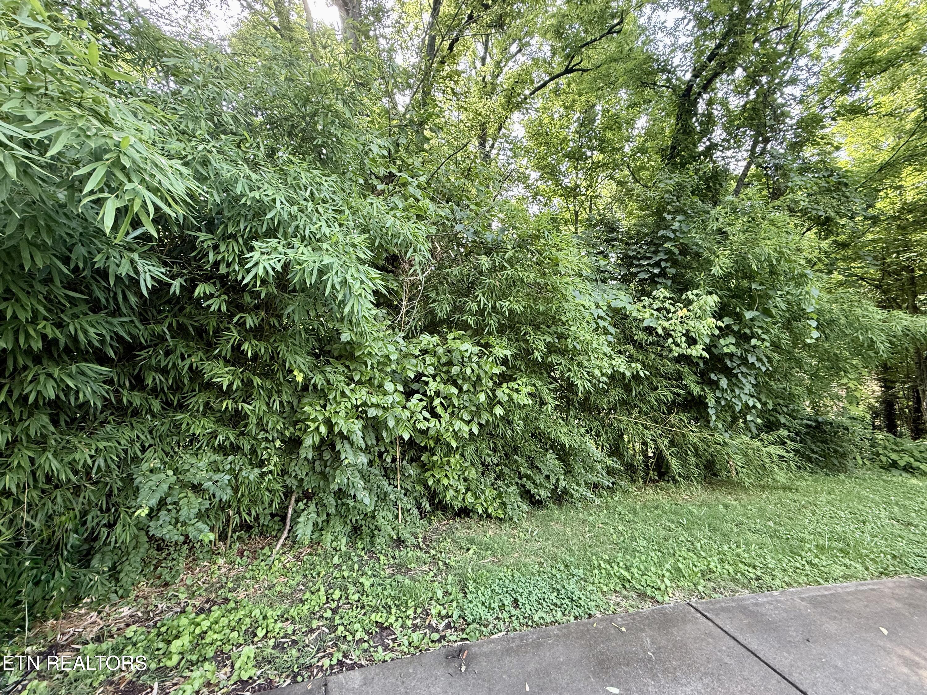 514 Concord Road Knoxville TN 37934