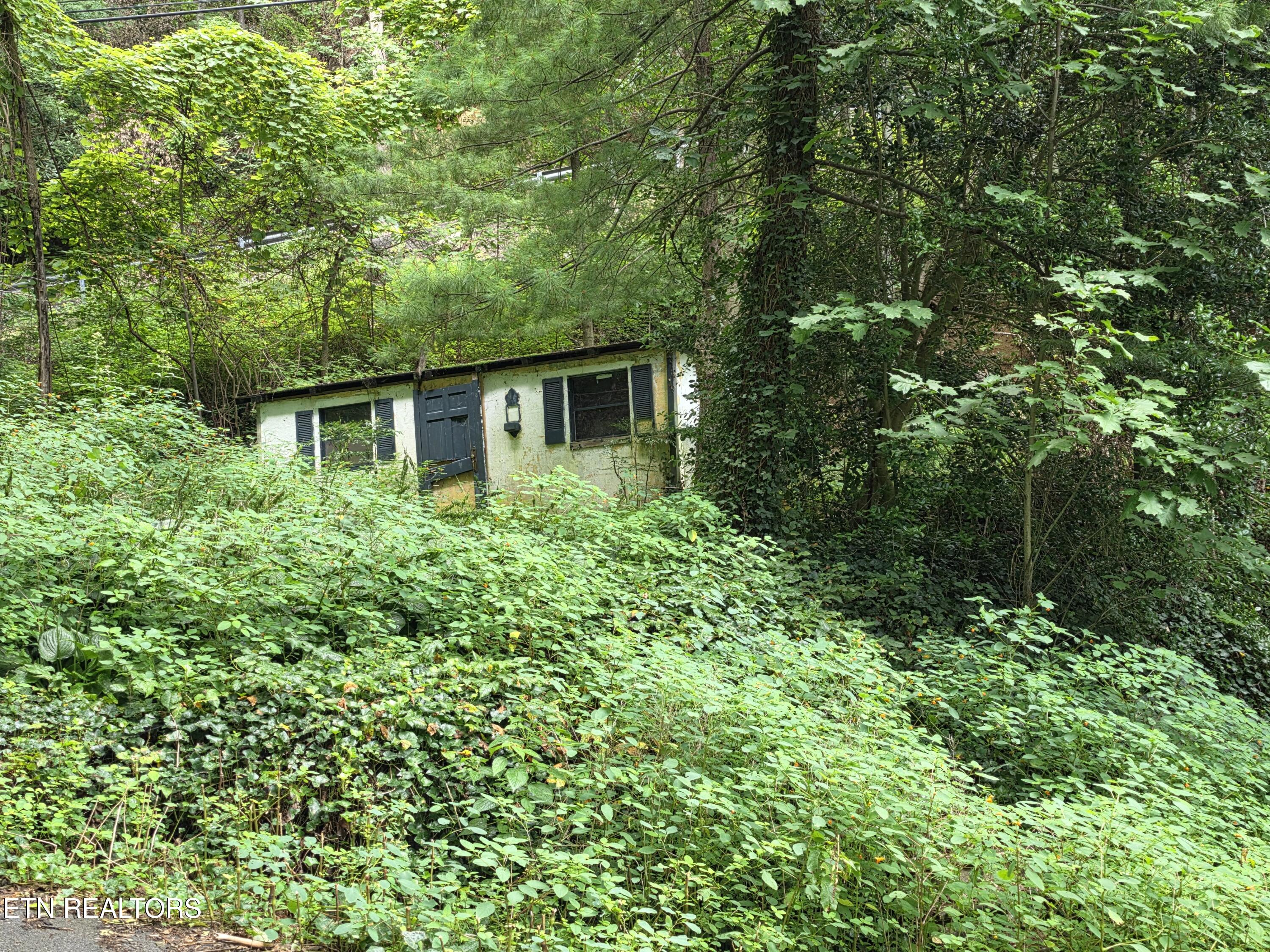 822 Heiden Drive Gatlinburg TN 37738