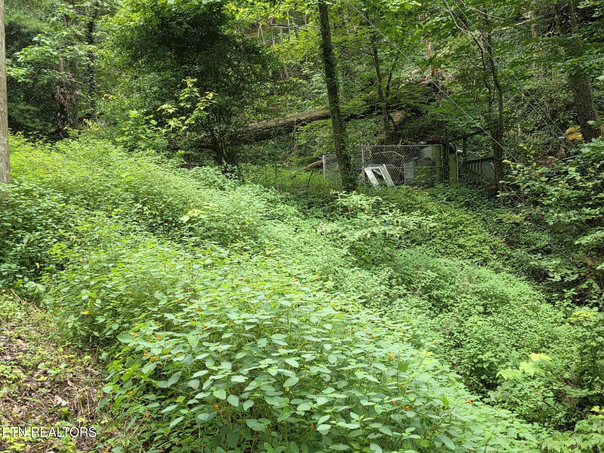 822 Heiden Drive Gatlinburg TN 37738
