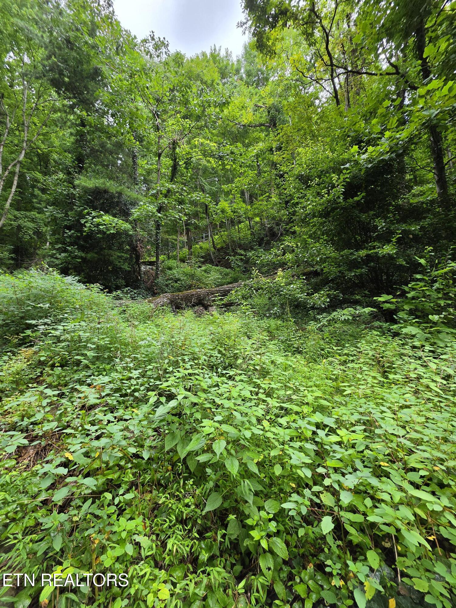 822 Heiden Drive Gatlinburg TN 37738