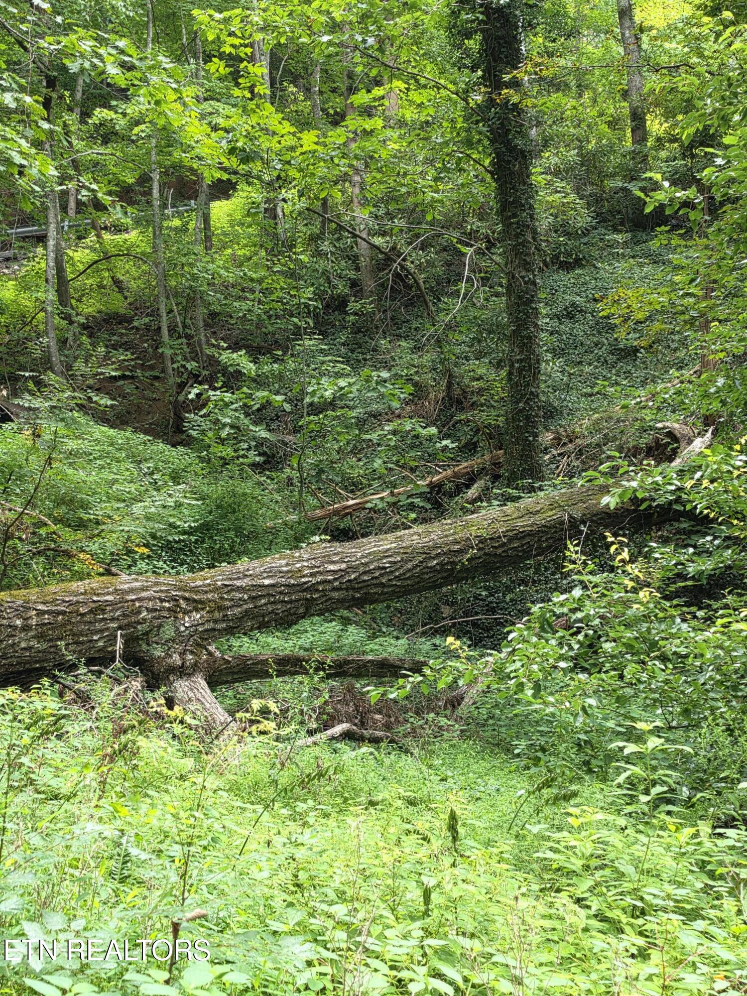 822 Heiden Drive Gatlinburg TN 37738