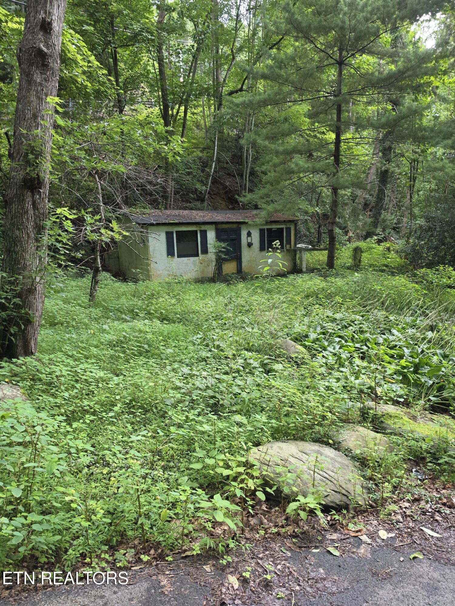 822 Heiden Drive Gatlinburg TN 37738