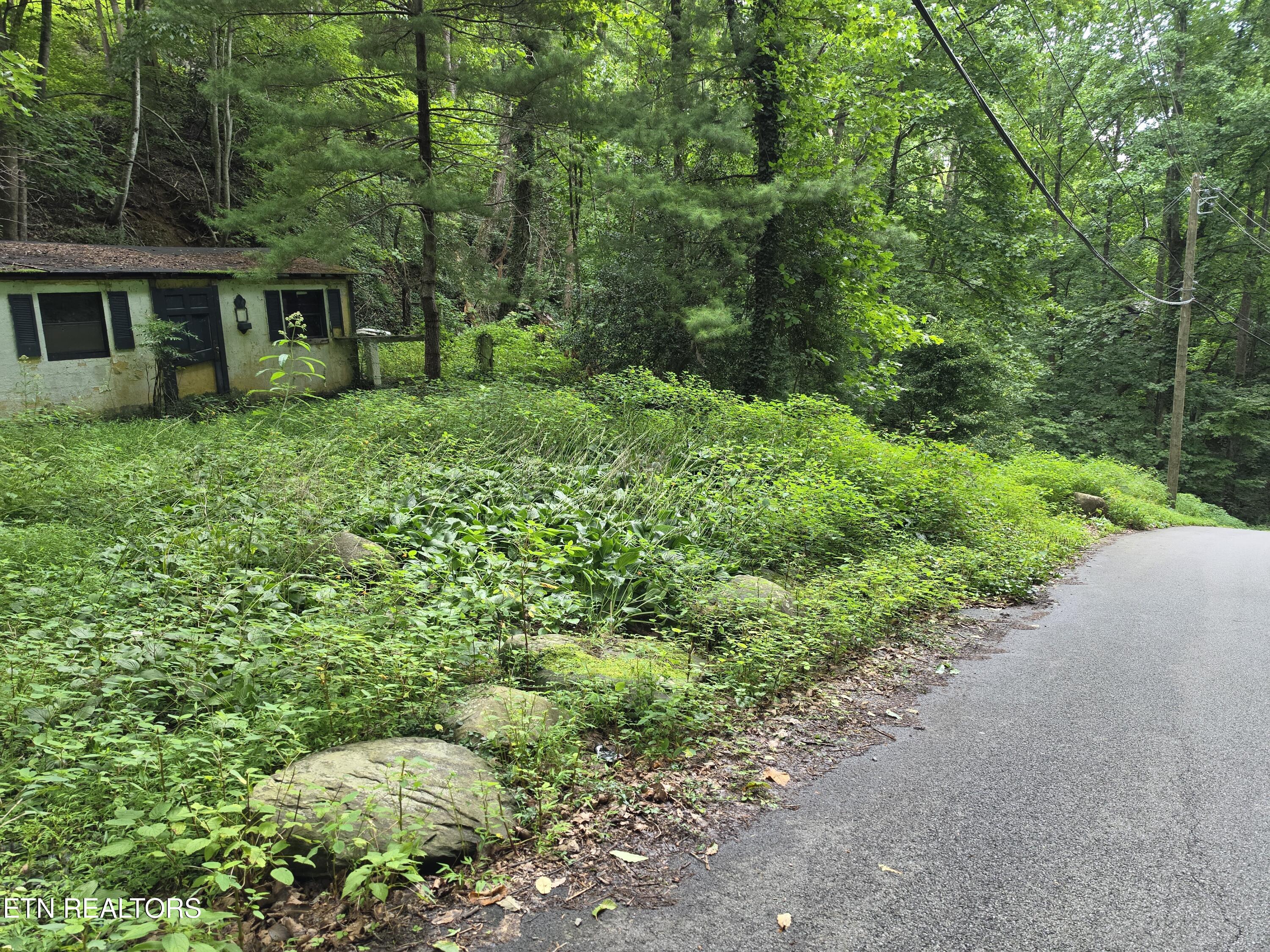 822 Heiden Drive Gatlinburg TN 37738