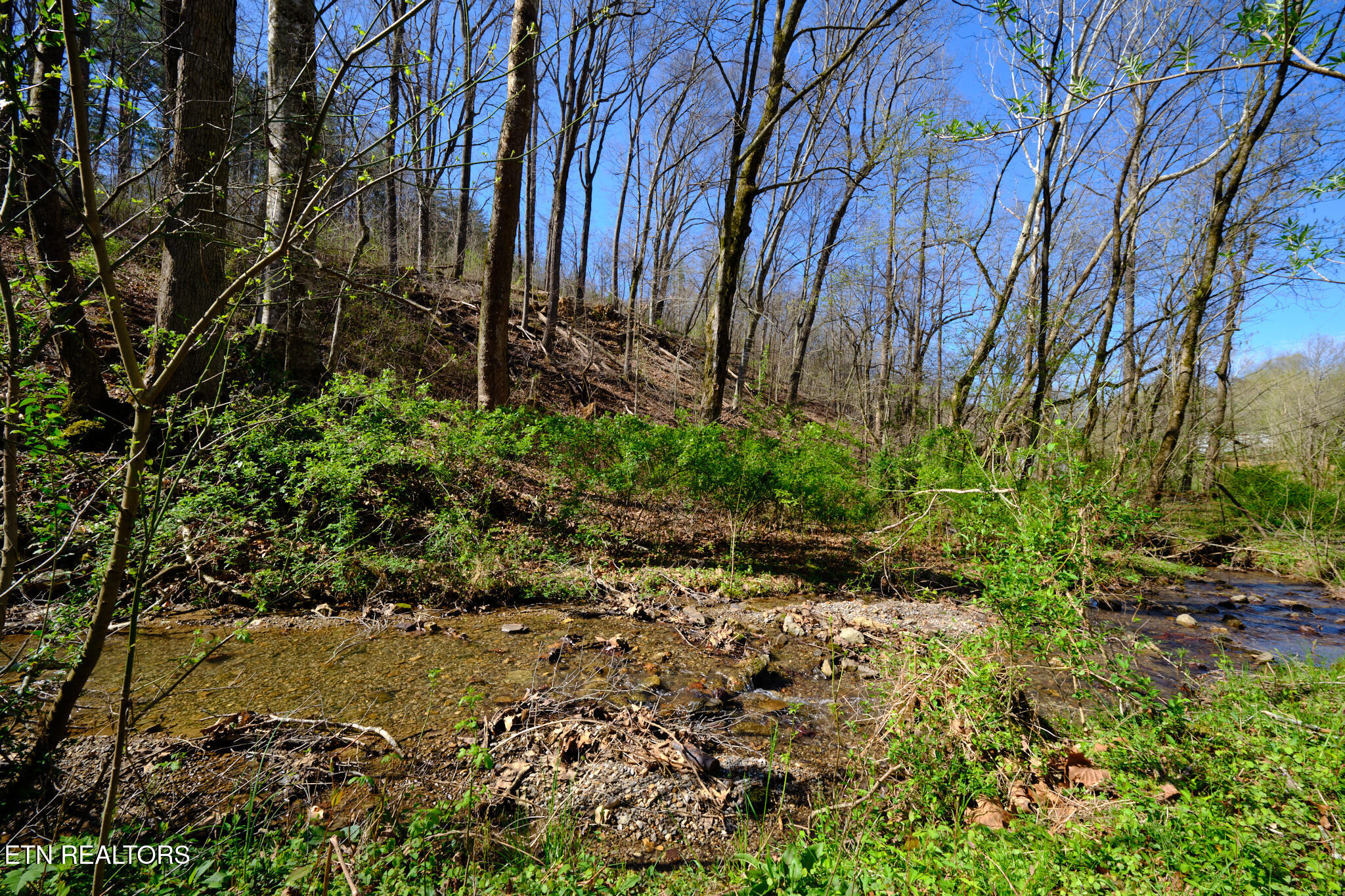 3212 Long Hollow Road Powell TN 37849
