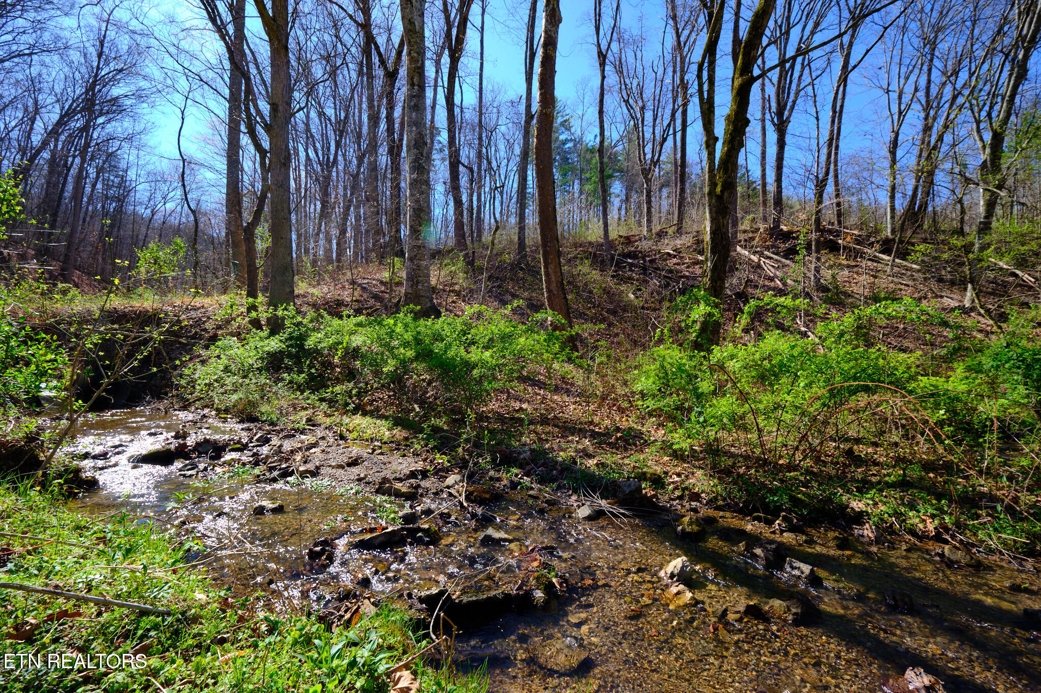 3212 Long Hollow Road Powell TN 37849