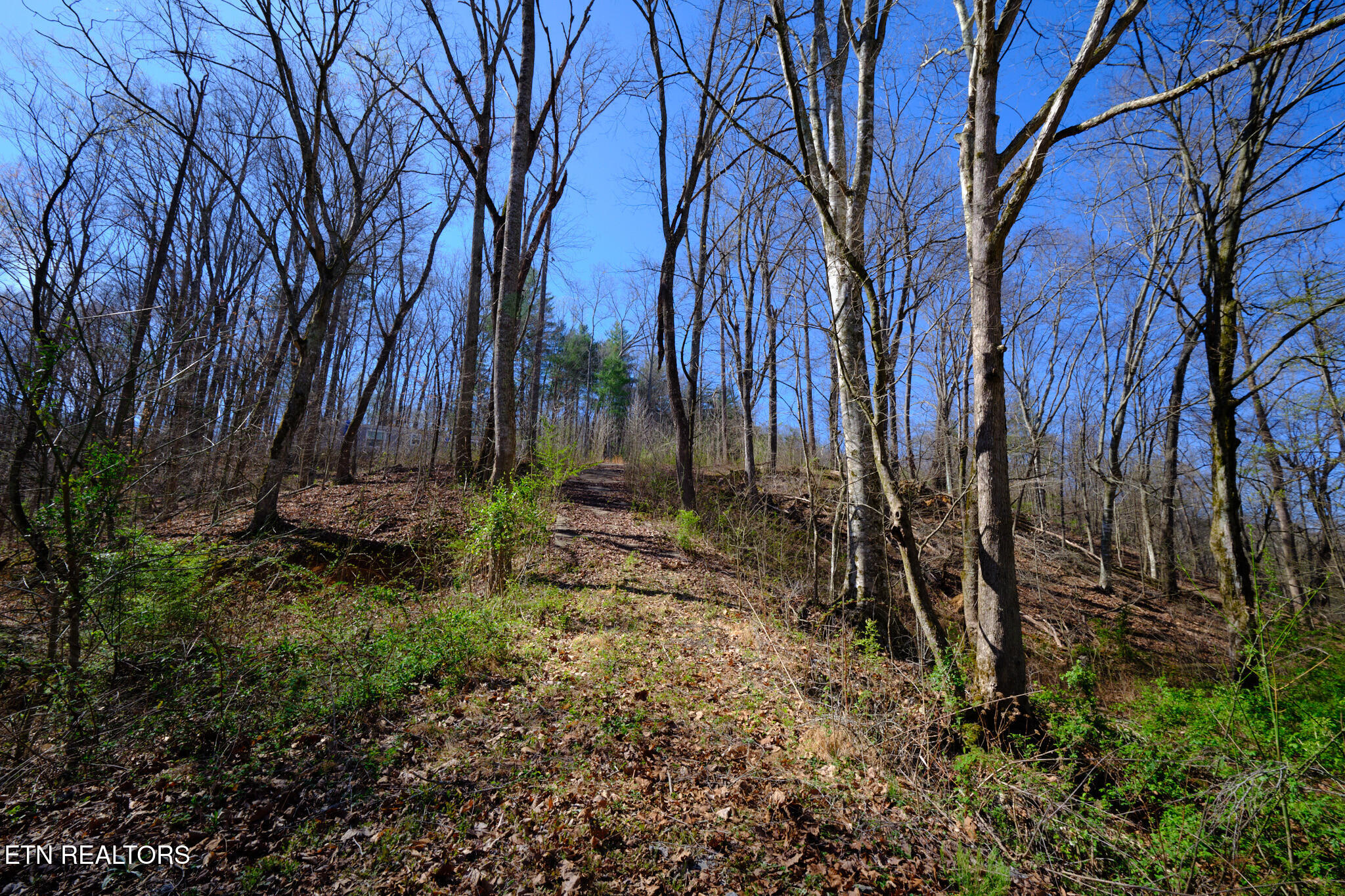 3212 Long Hollow Road Powell TN 37849