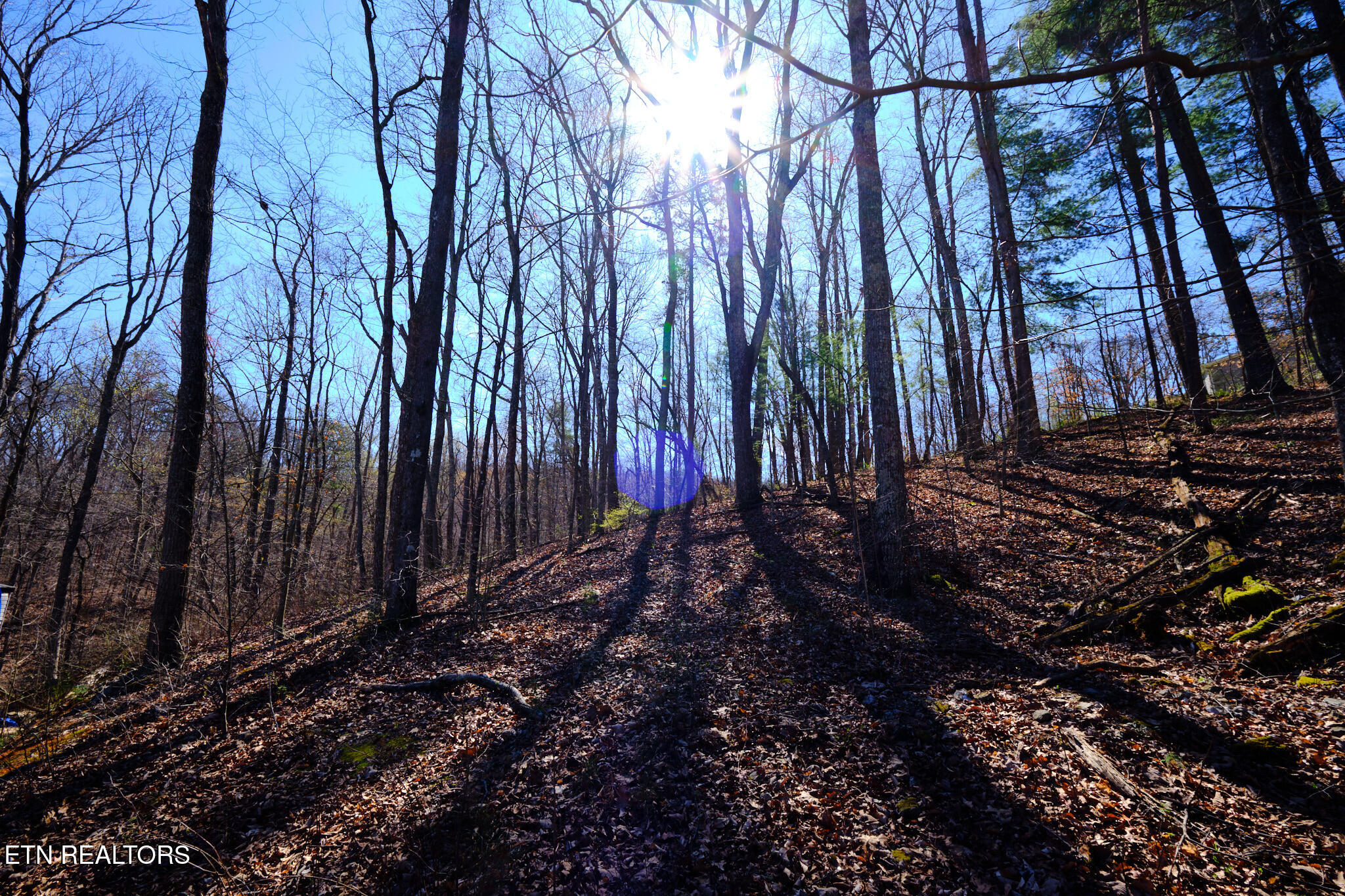 3212 Long Hollow Road Powell TN 37849