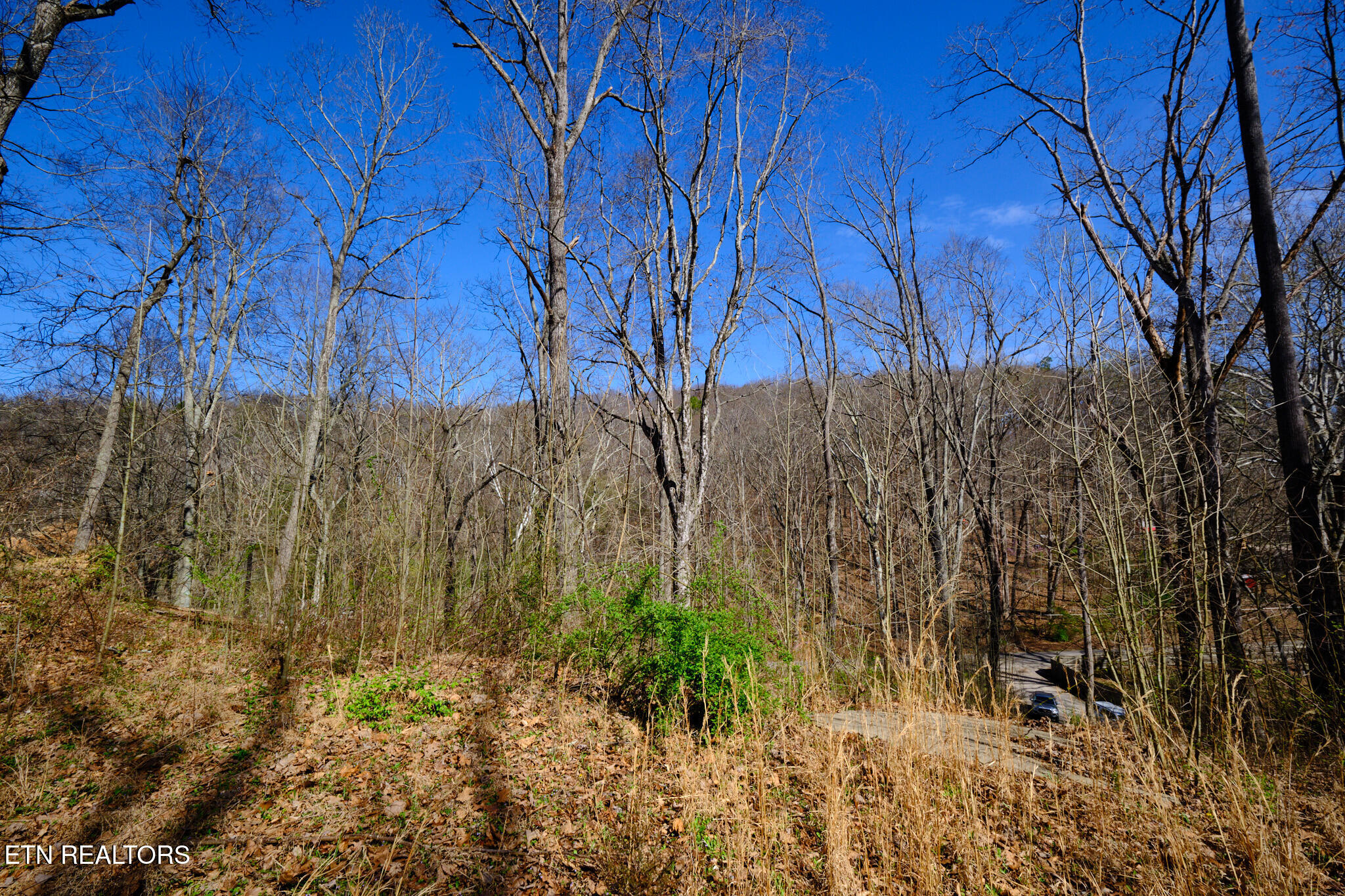 3212 Long Hollow Road Powell TN 37849