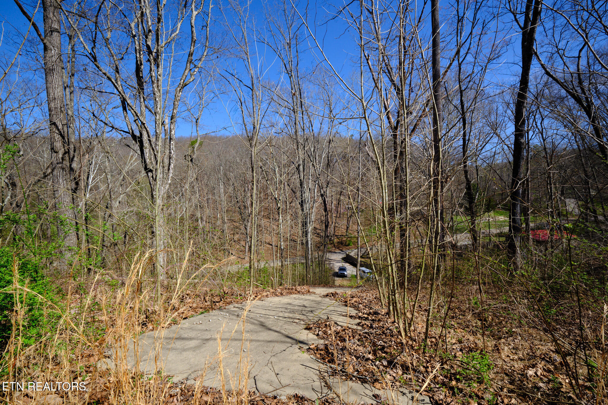 3212 Long Hollow Road Powell TN 37849