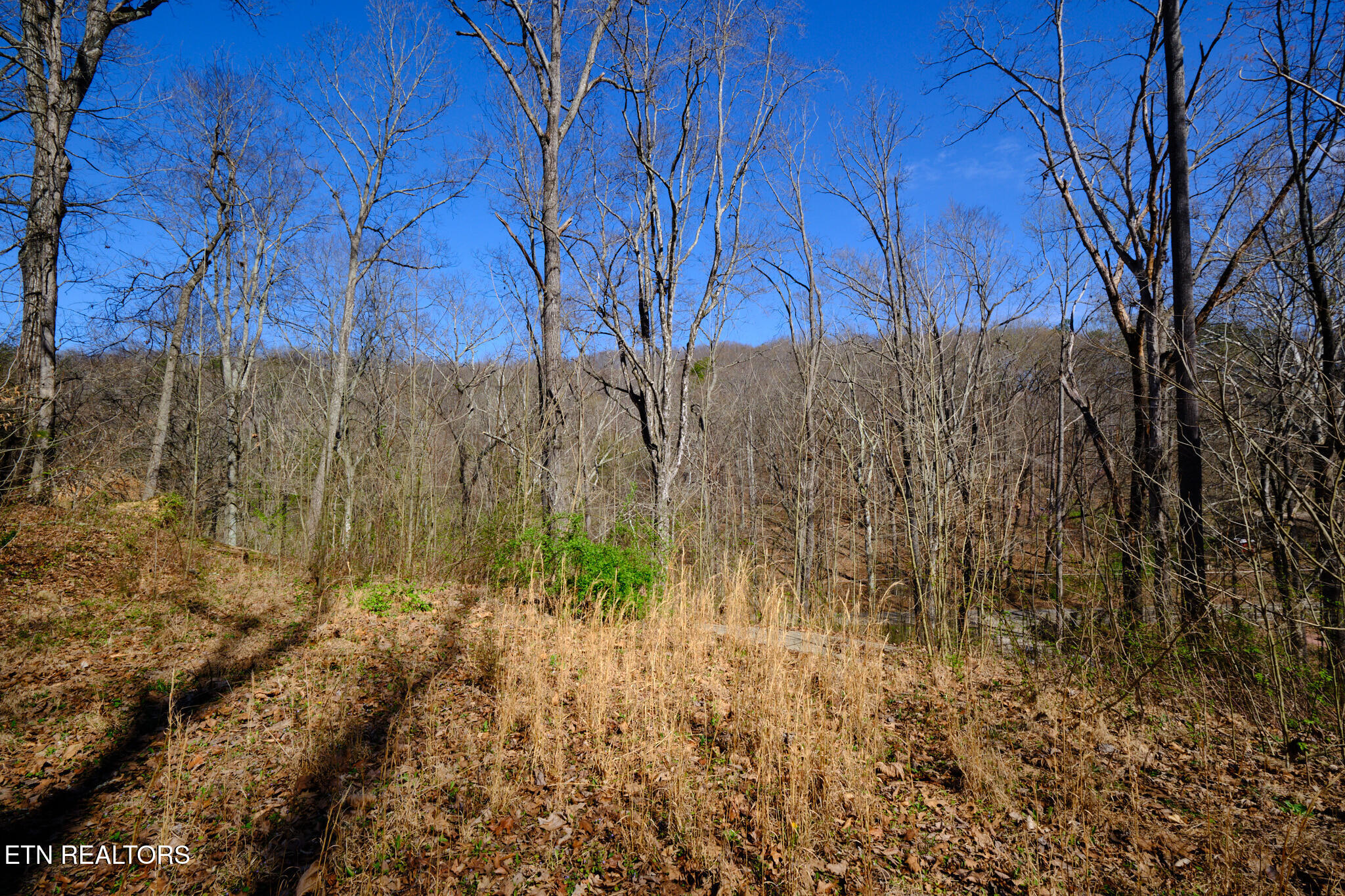 3212 Long Hollow Road Powell TN 37849