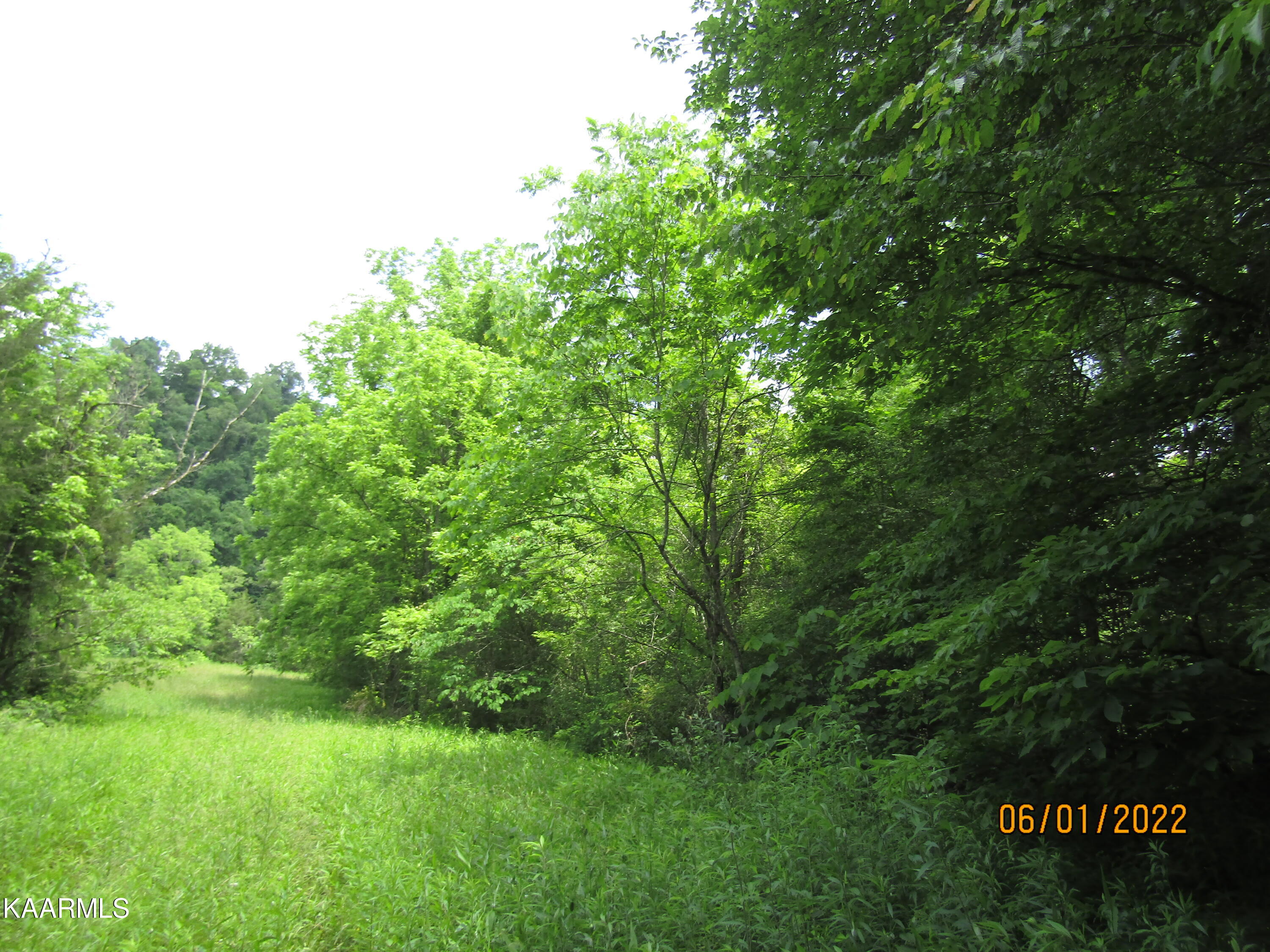 114 Acres State Highway 33 Tazewell TN 37879