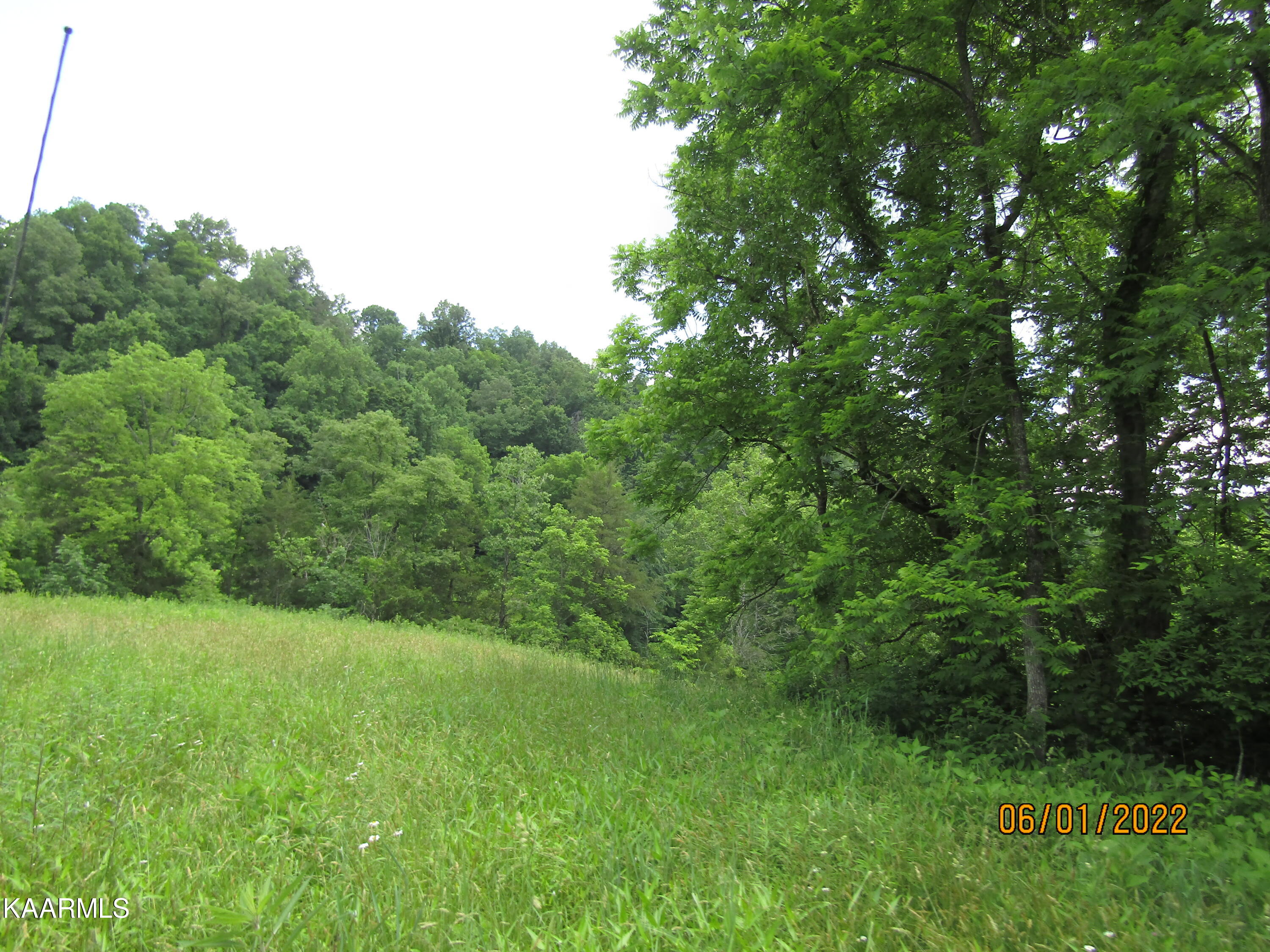 114 Acres State Highway 33 Tazewell TN 37879