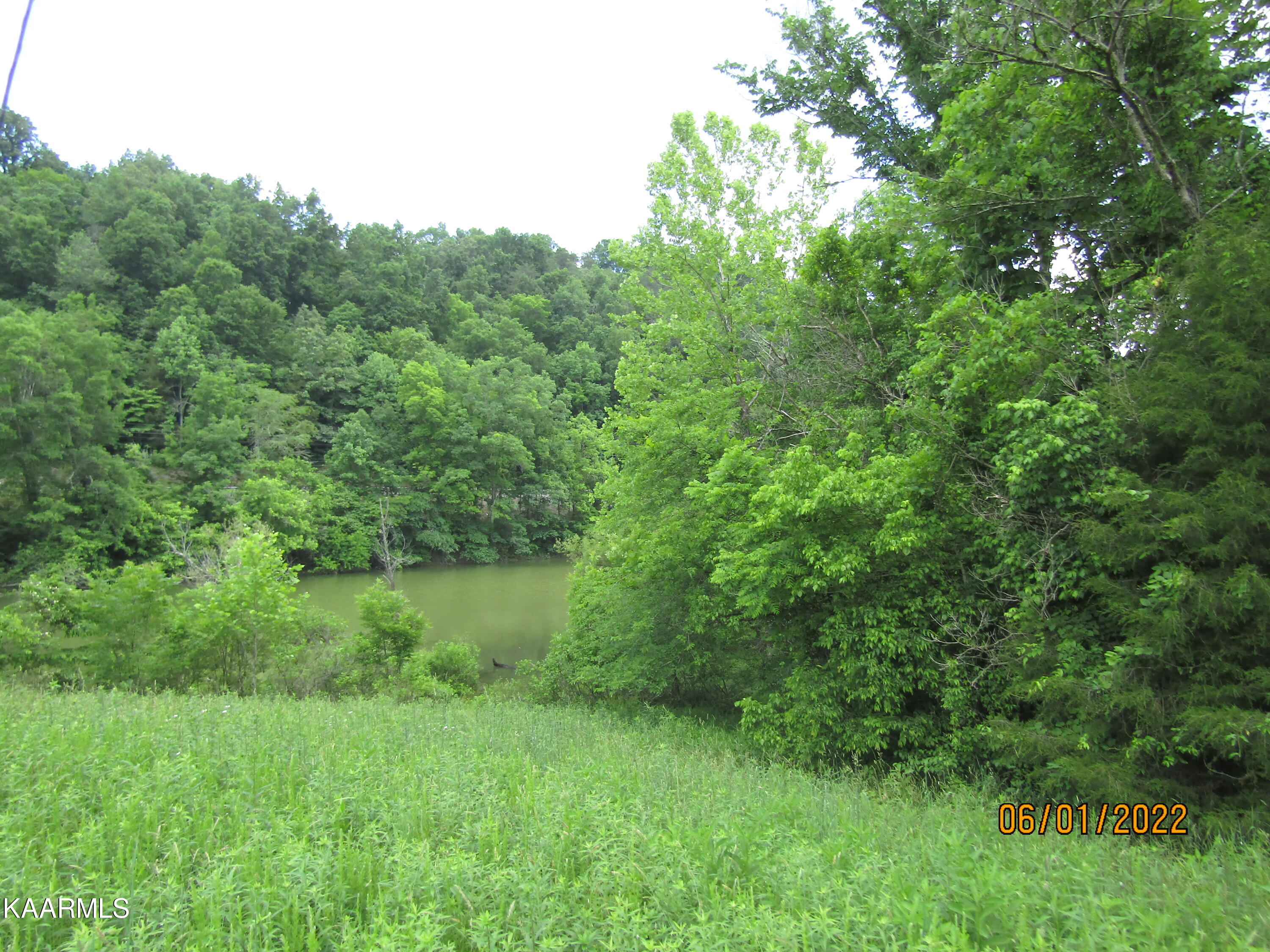 114 Acres State Highway 33 Tazewell TN 37879