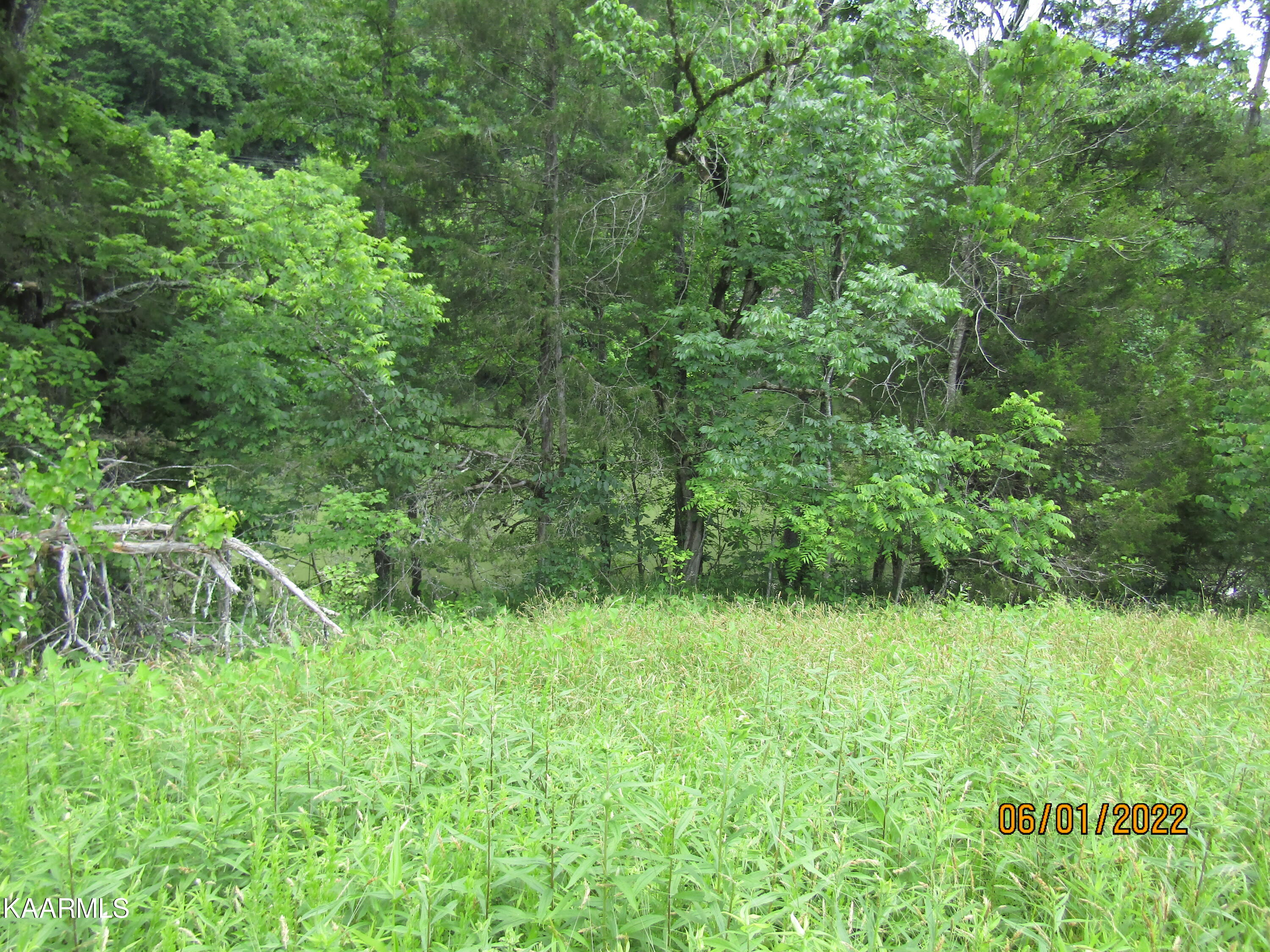 114 Acres State Highway 33 Tazewell TN 37879