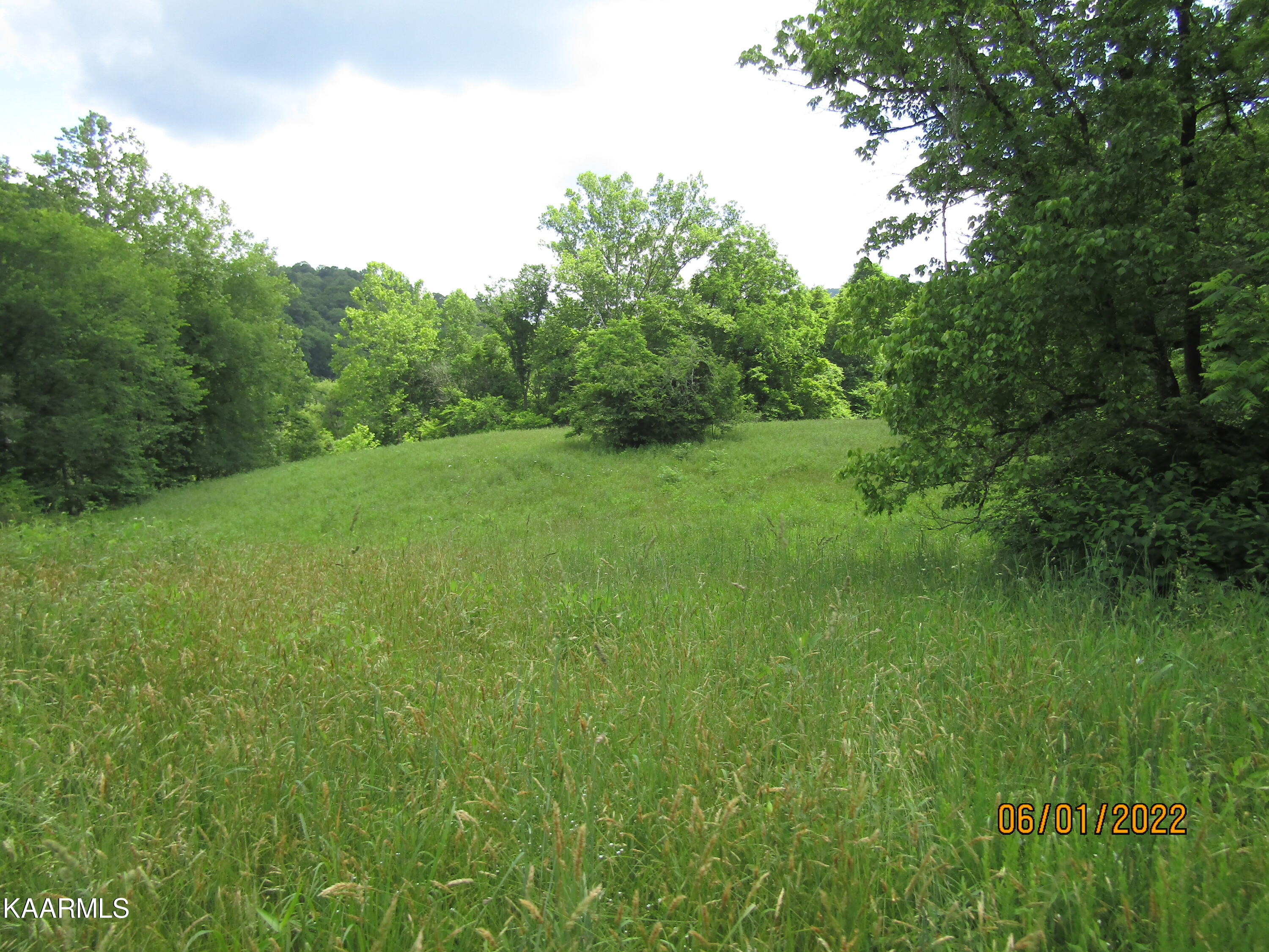 114 Acres State Highway 33 Tazewell TN 37879