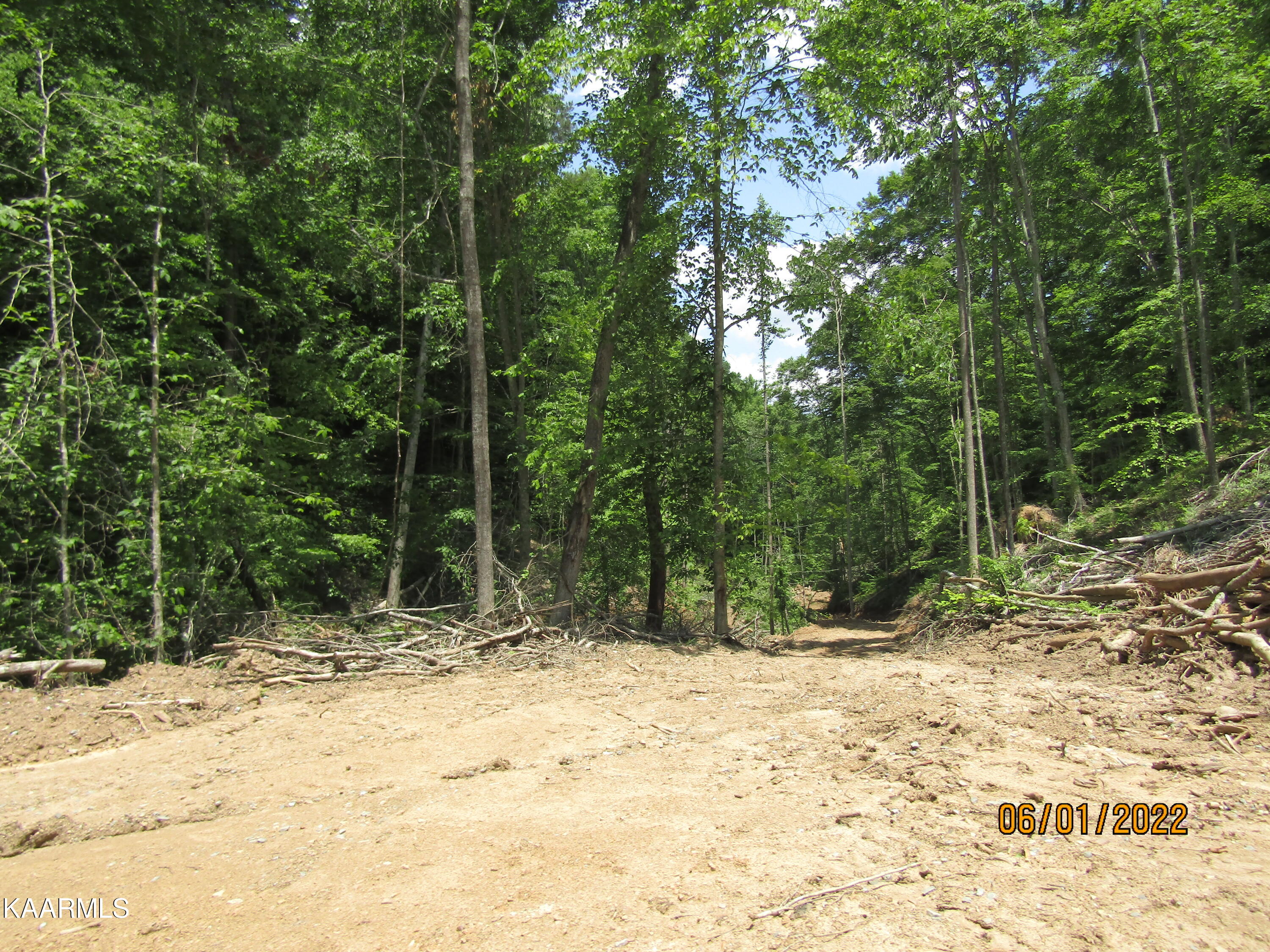 114 Acres State Highway 33 Tazewell TN 37879