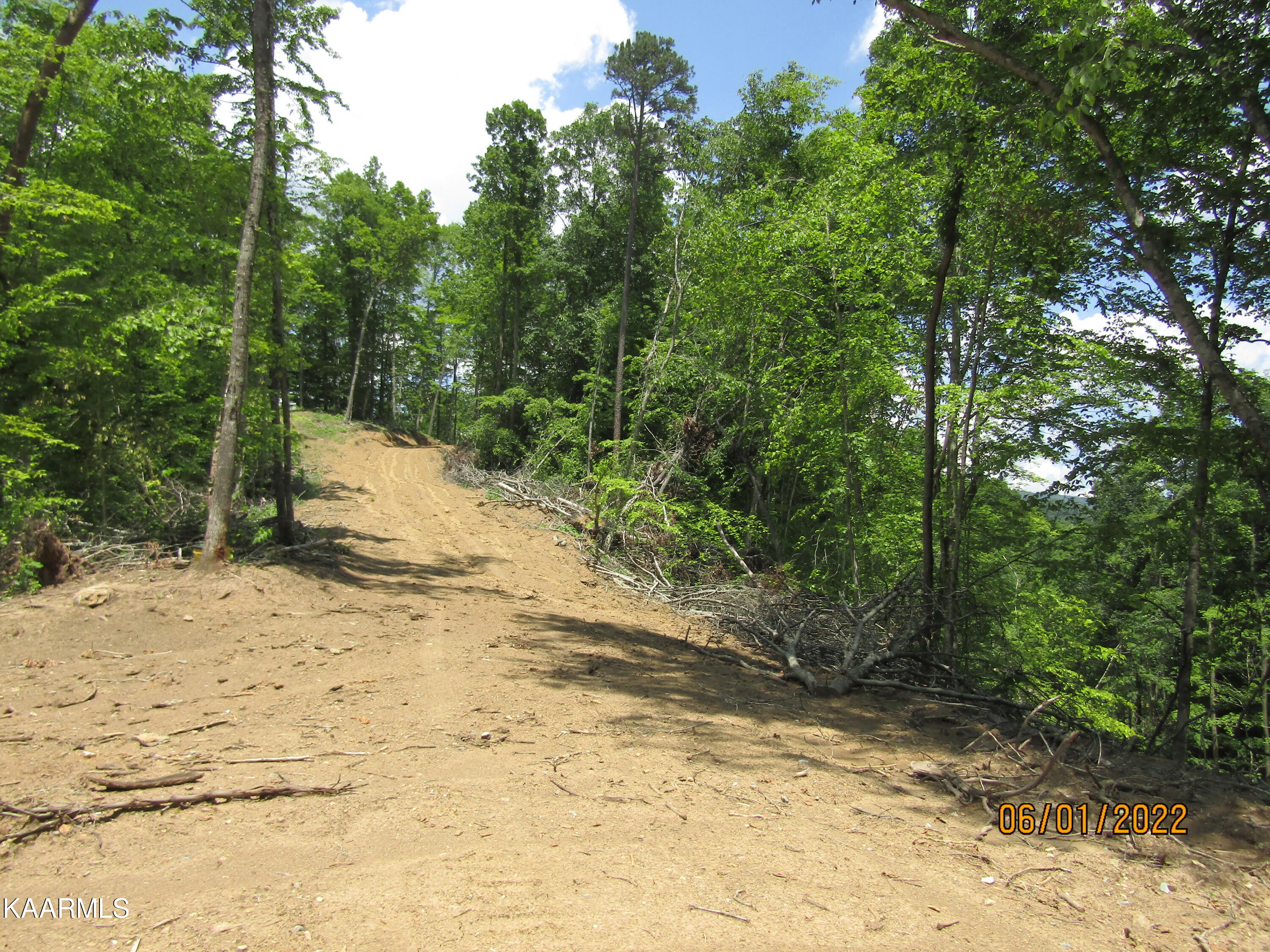 114 Acres State Highway 33 Tazewell TN 37879