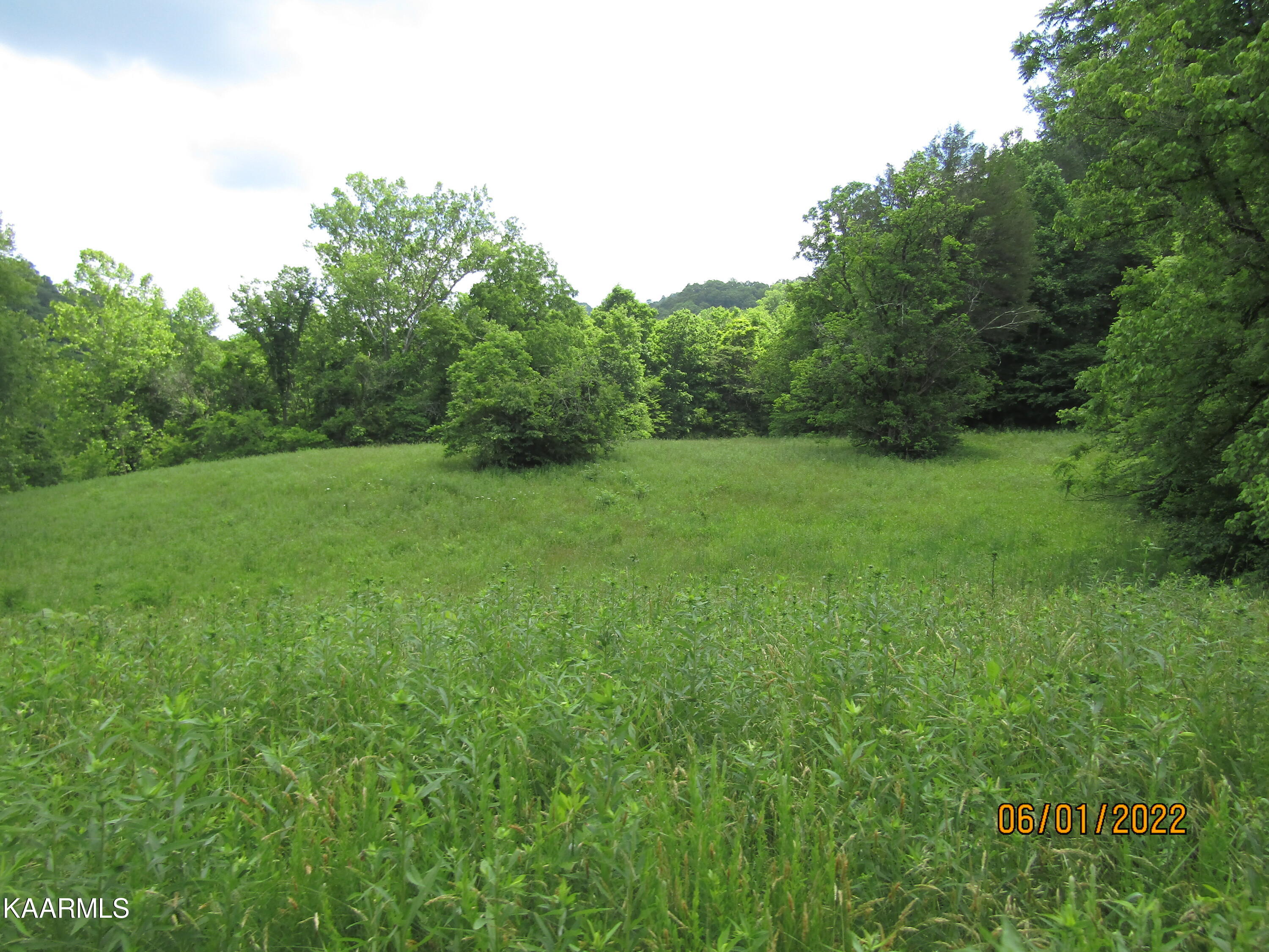 114 Acres State Highway 33 Tazewell TN 37879