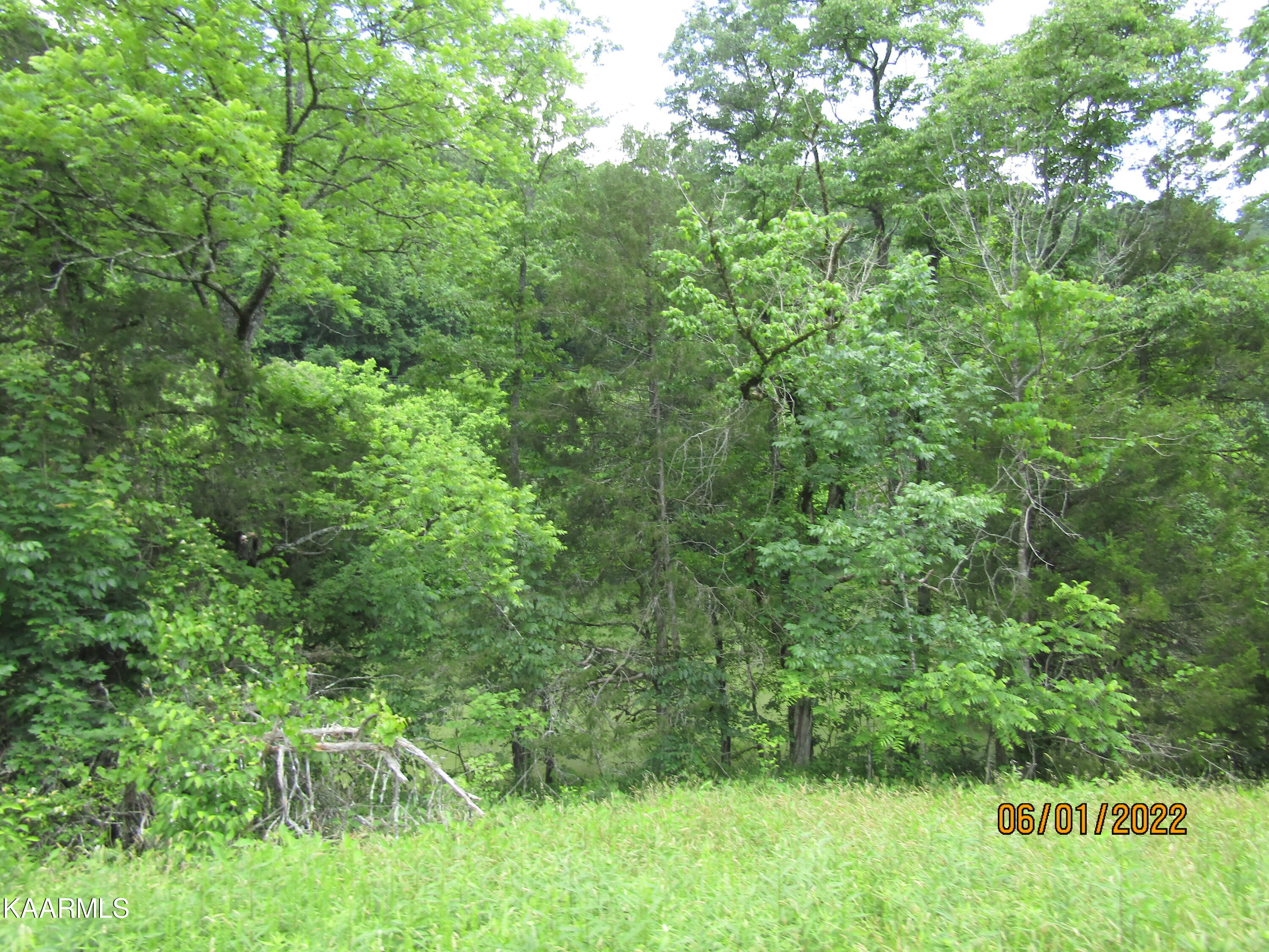 114 Acres State Highway 33 Tazewell TN 37879