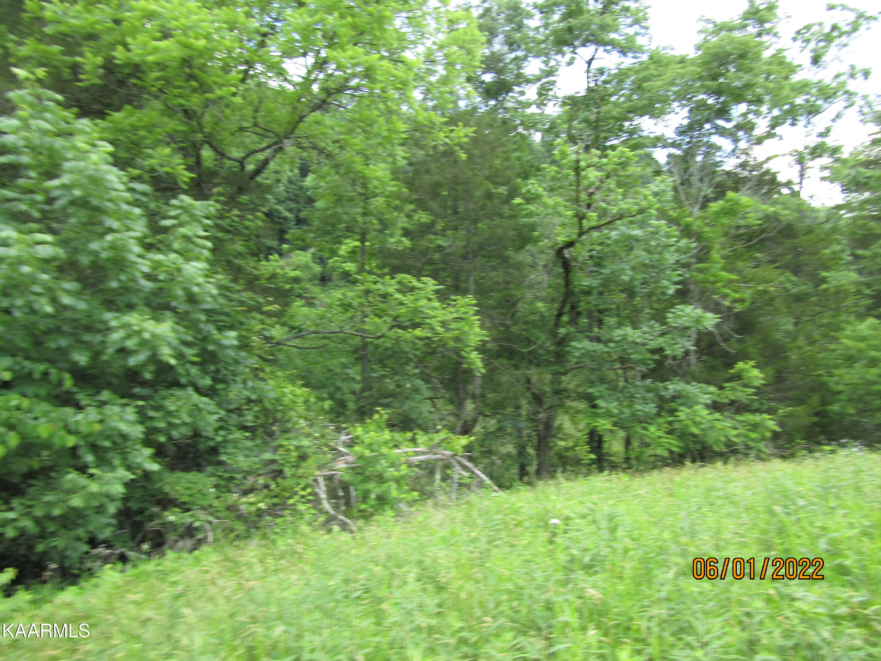114 Acres State Highway 33 Tazewell TN 37879